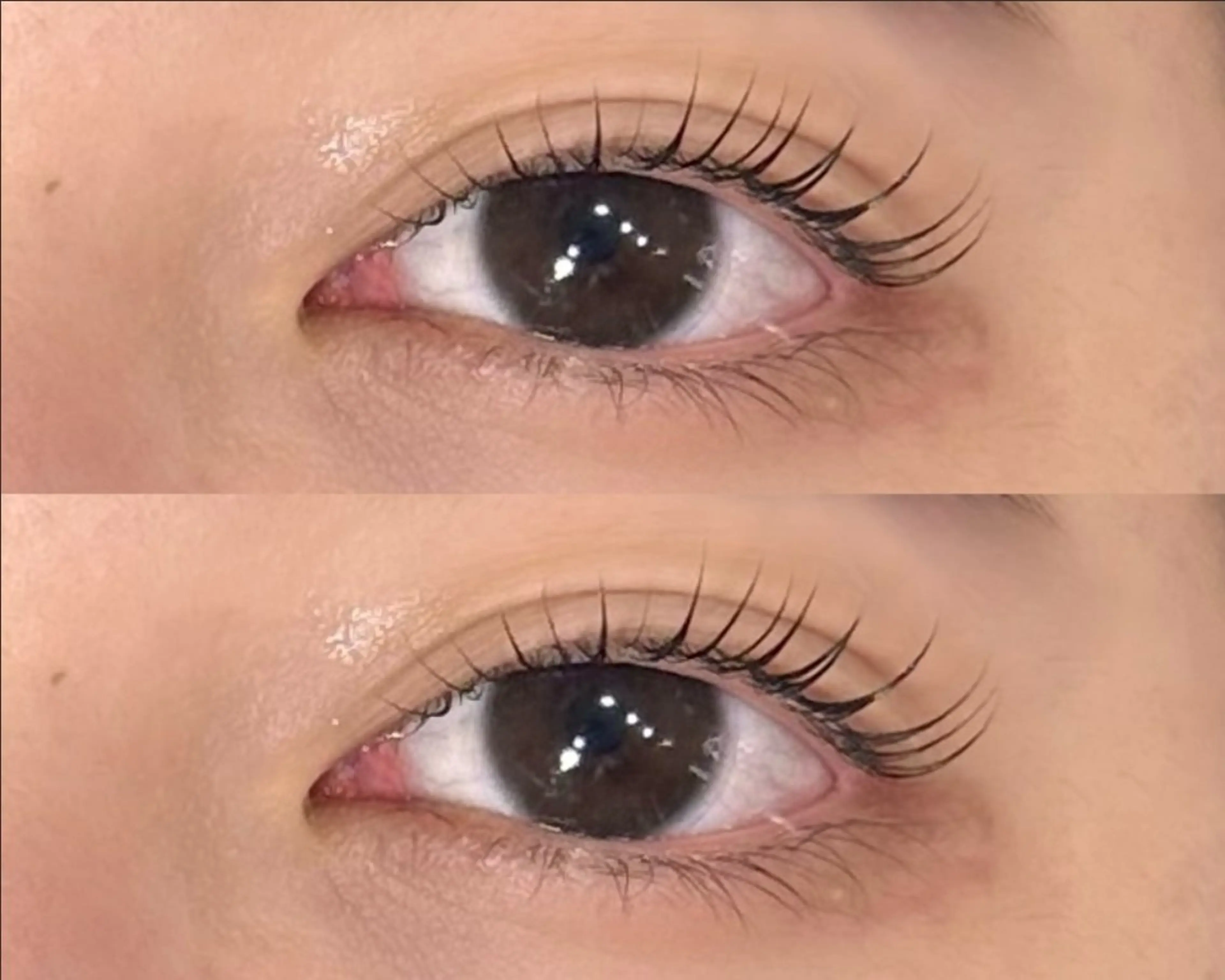 マツエク・マツパ ケラチンラッシュリフト マツパ eyelist ERINA〜.。🧸のマツエク・マツパデザイン