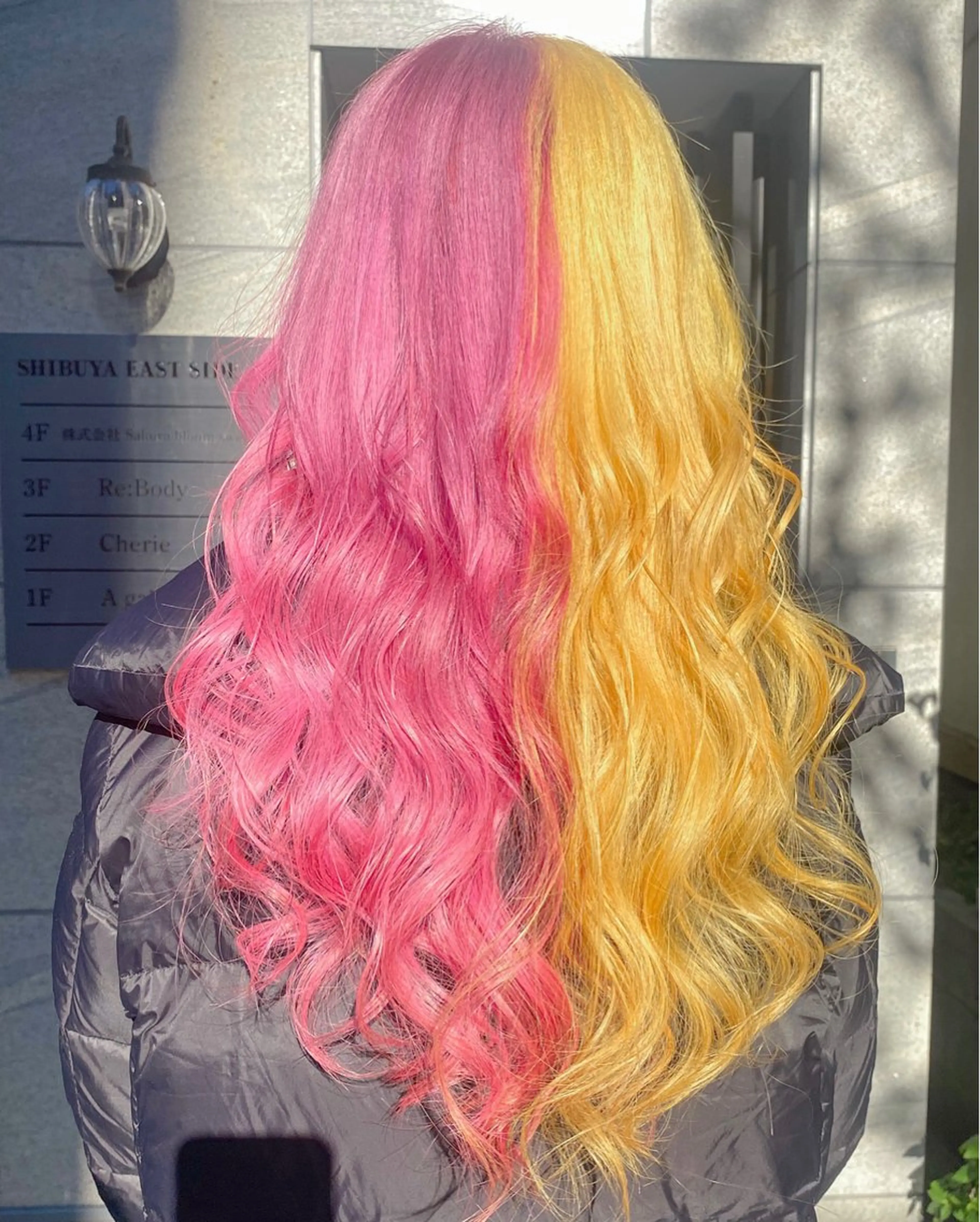 ロング カラー ベージュカラー 黒髪 ブルーカラー ブルーブラック デザインカラー ヘアカラー Chérie所属・Chérie 渋谷/カラーサロンのヘアスタイル