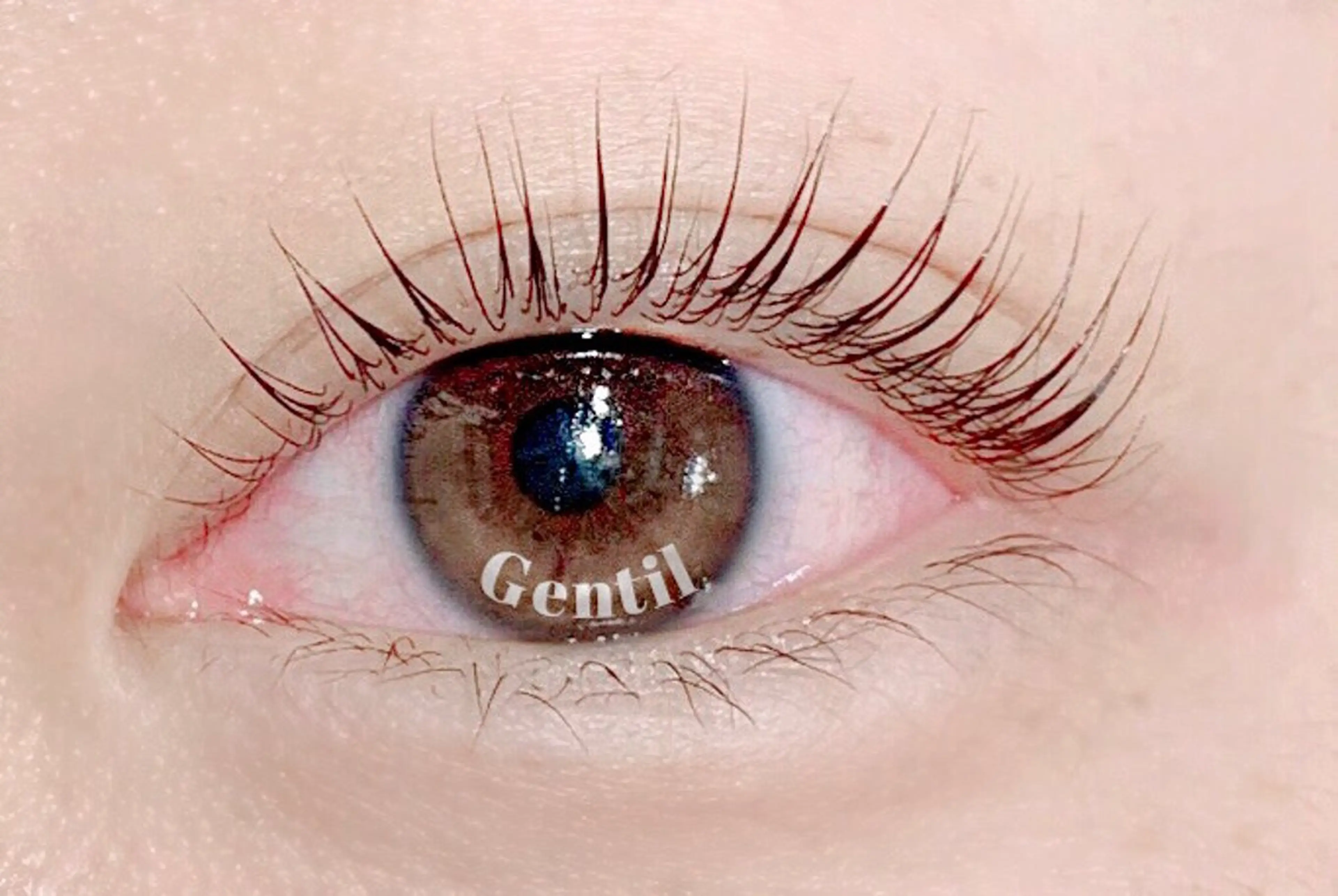 今だけ限定【利用条件確認下さい】まつ毛パーマ¥3600 orパリジェンヌ¥4600の写真