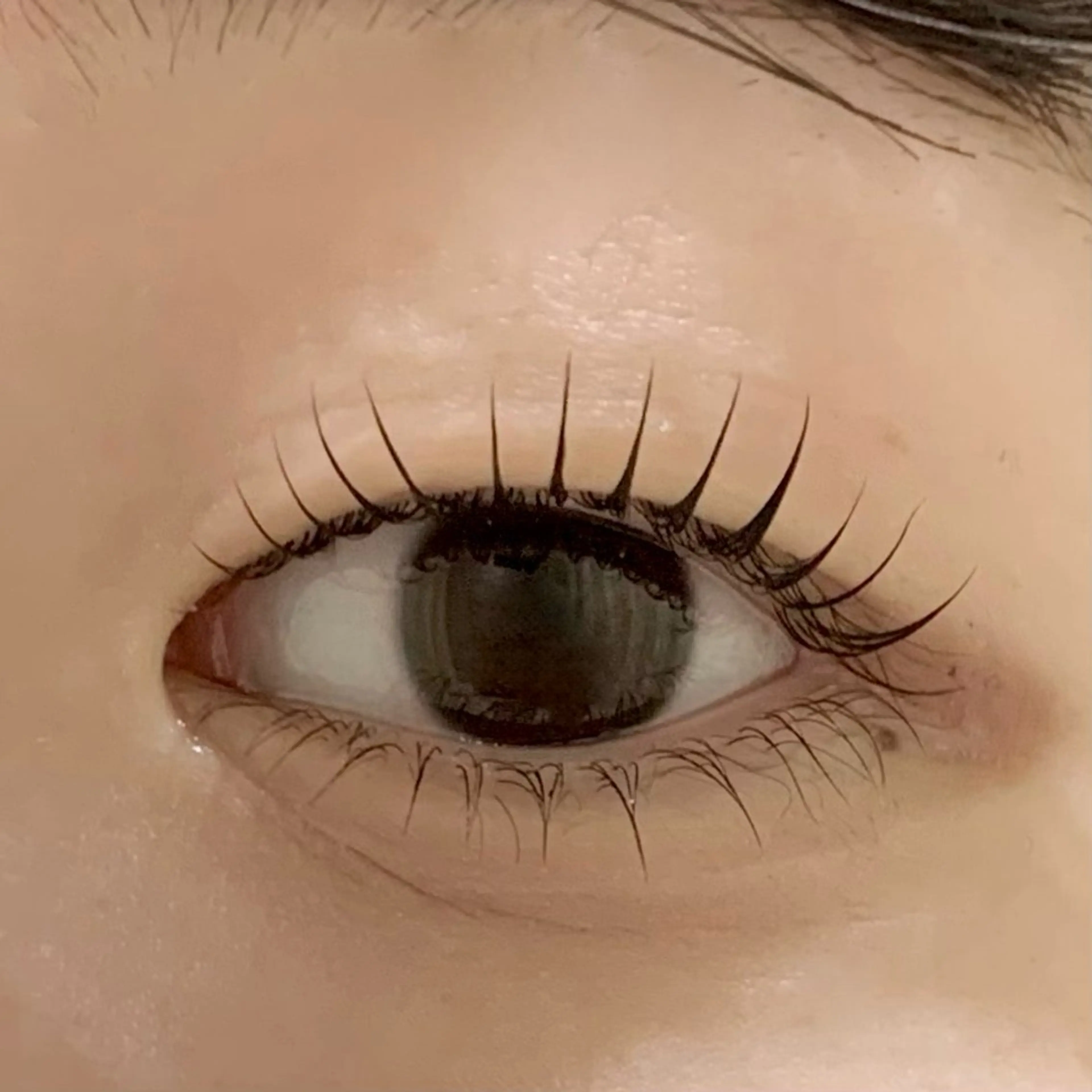 まつげパーマ上下.⋆𝜗𝜚の写真