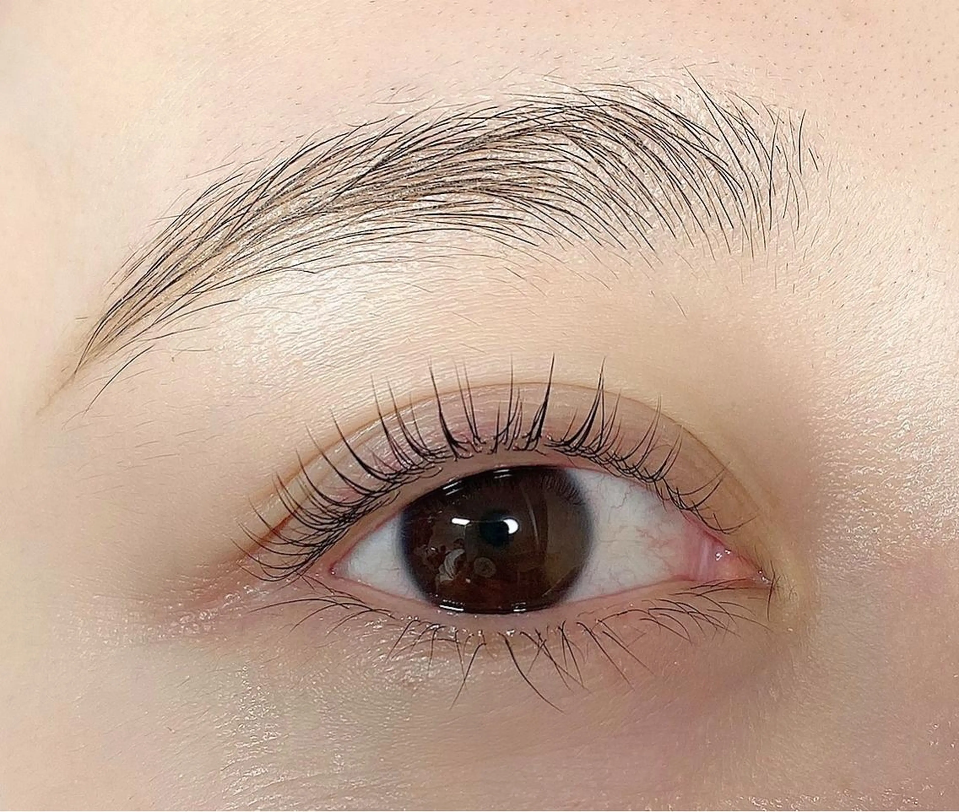 マツエク・マツパ マツパ plume eyelashのマツエク・マツパデザイン