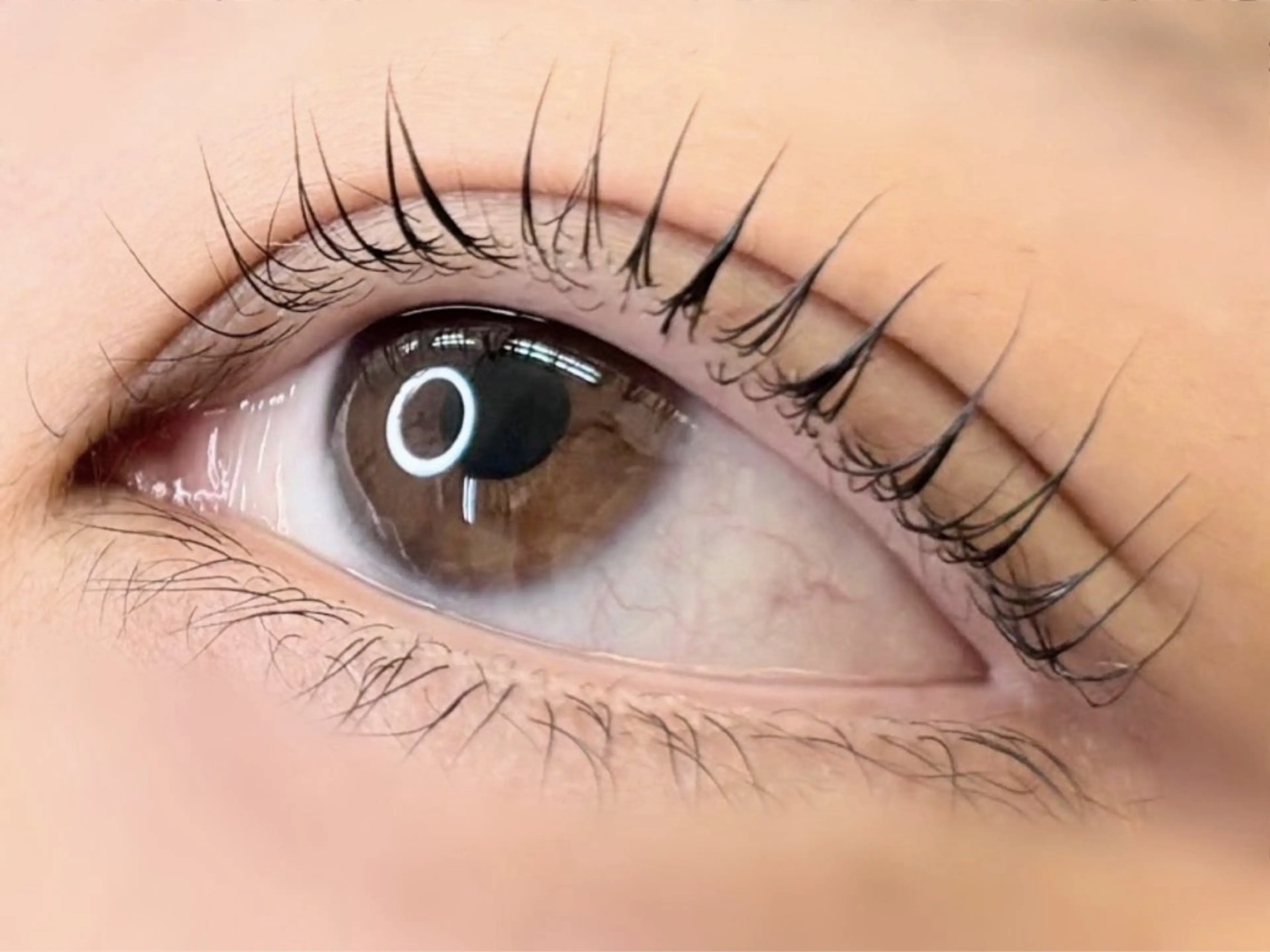 まつ毛パーマ コーティング仕上げ◎の写真