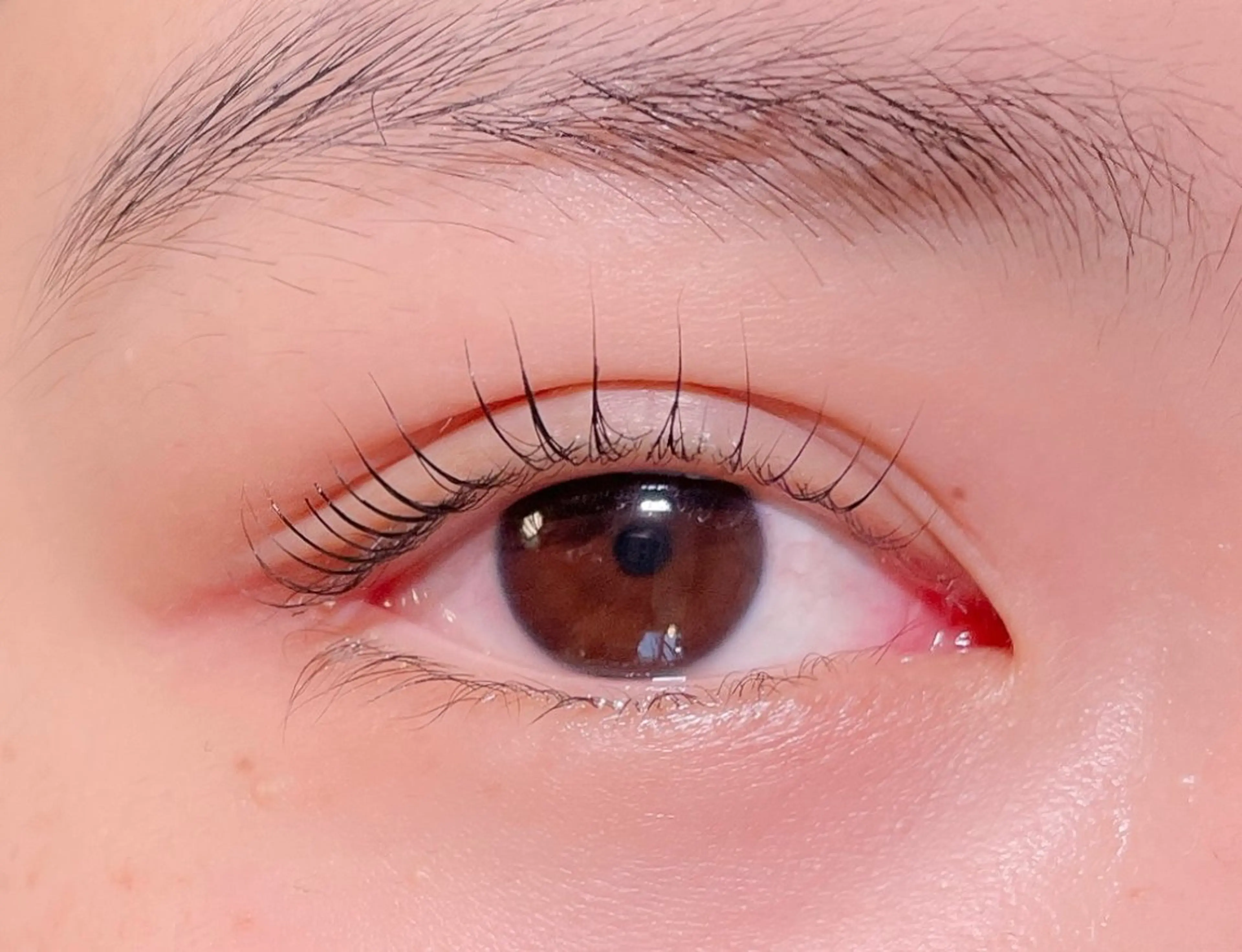 マツエク・マツパ nowe luxe所属・nowe luxeの眉毛・アイブロウイメージ