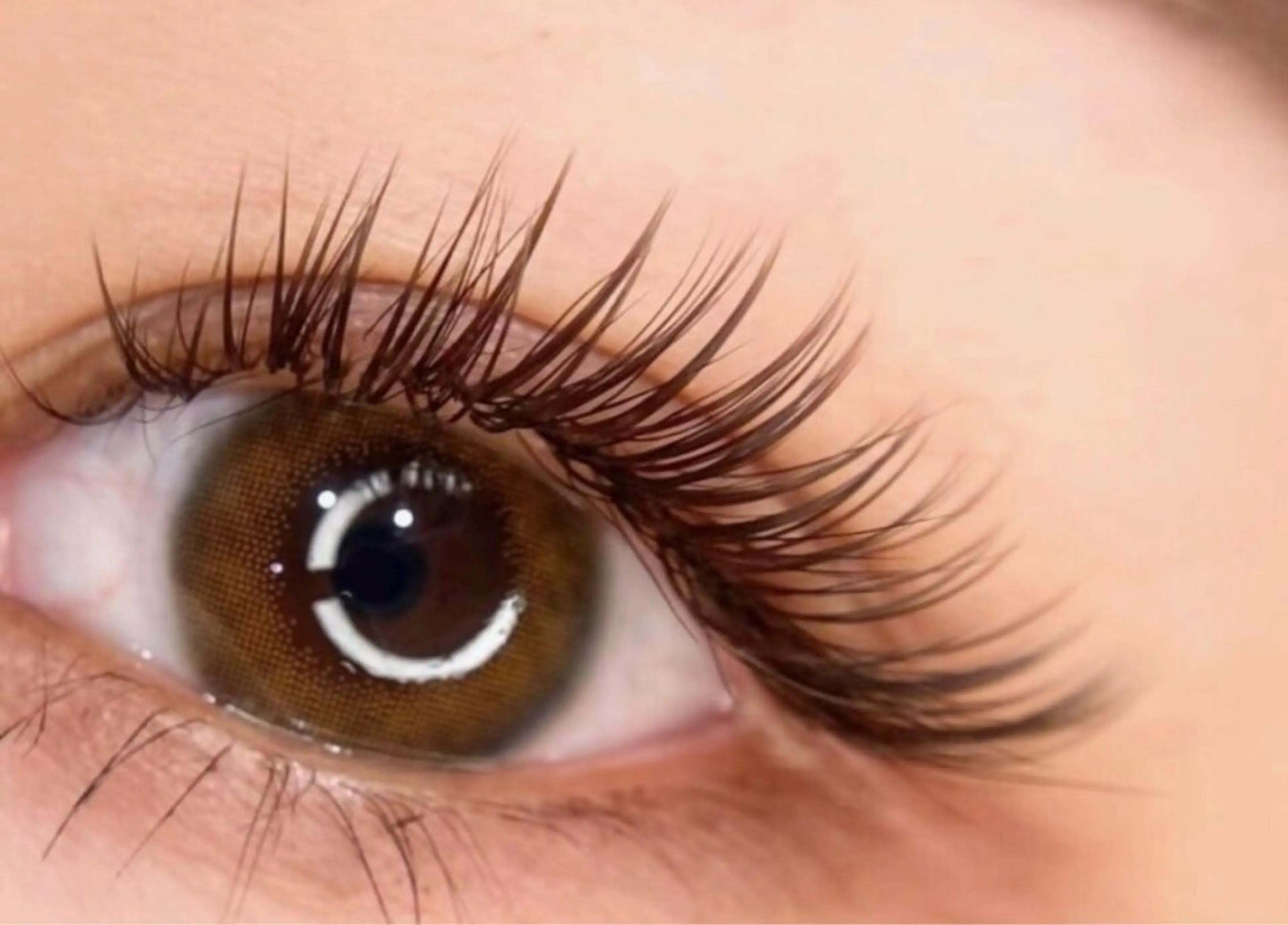 【平日限定】モチ重視！ブリスラップ💗フラットラッシュより濃さが欲しい、束感重視な方🎀LED変更無料/60-90束の写真