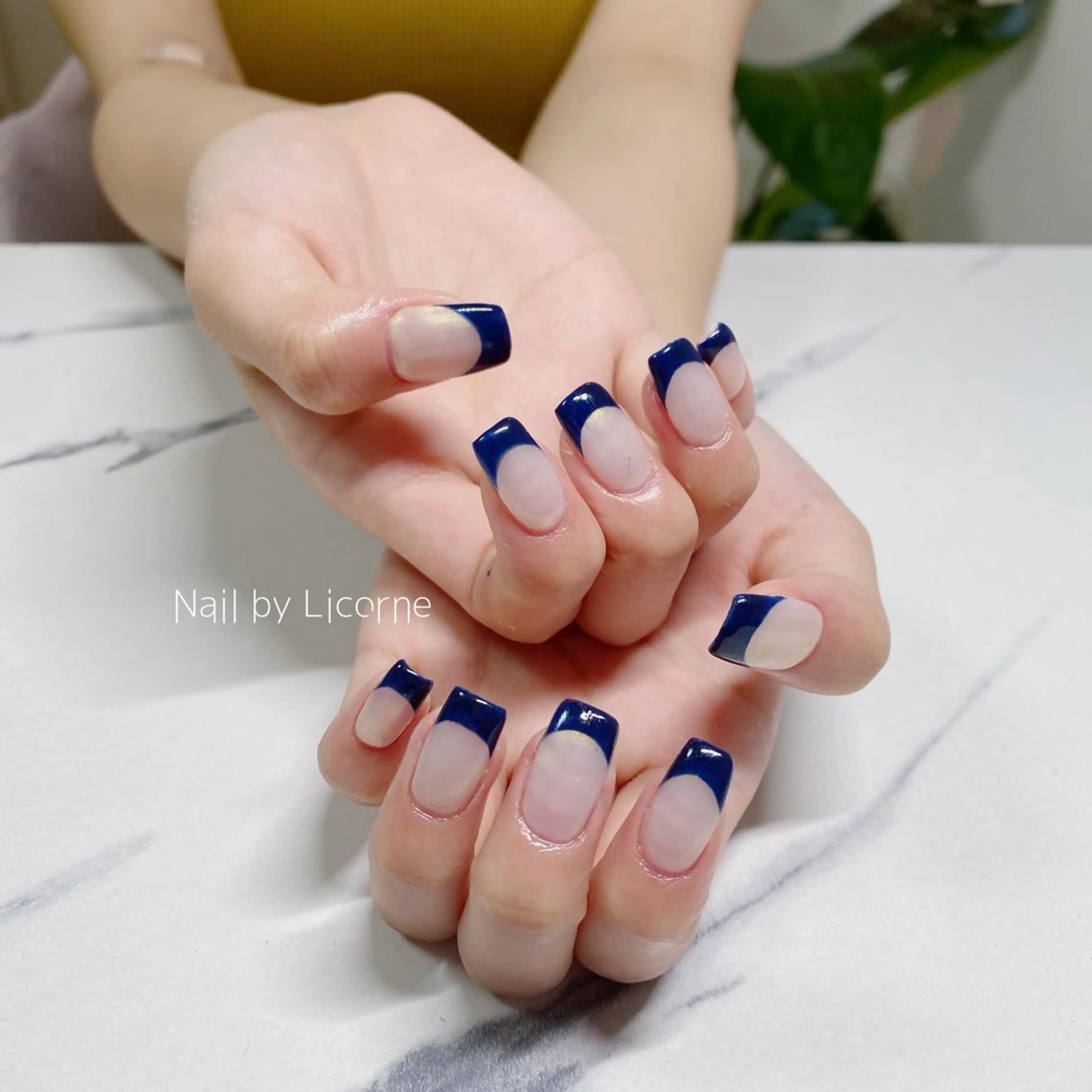 ネイル アートネイル オーロラネイル フレンチネイル 氷ネイル・うるうるネイル マグネットネイル ハンドネイル Nail by Licorneのネイルデザイン