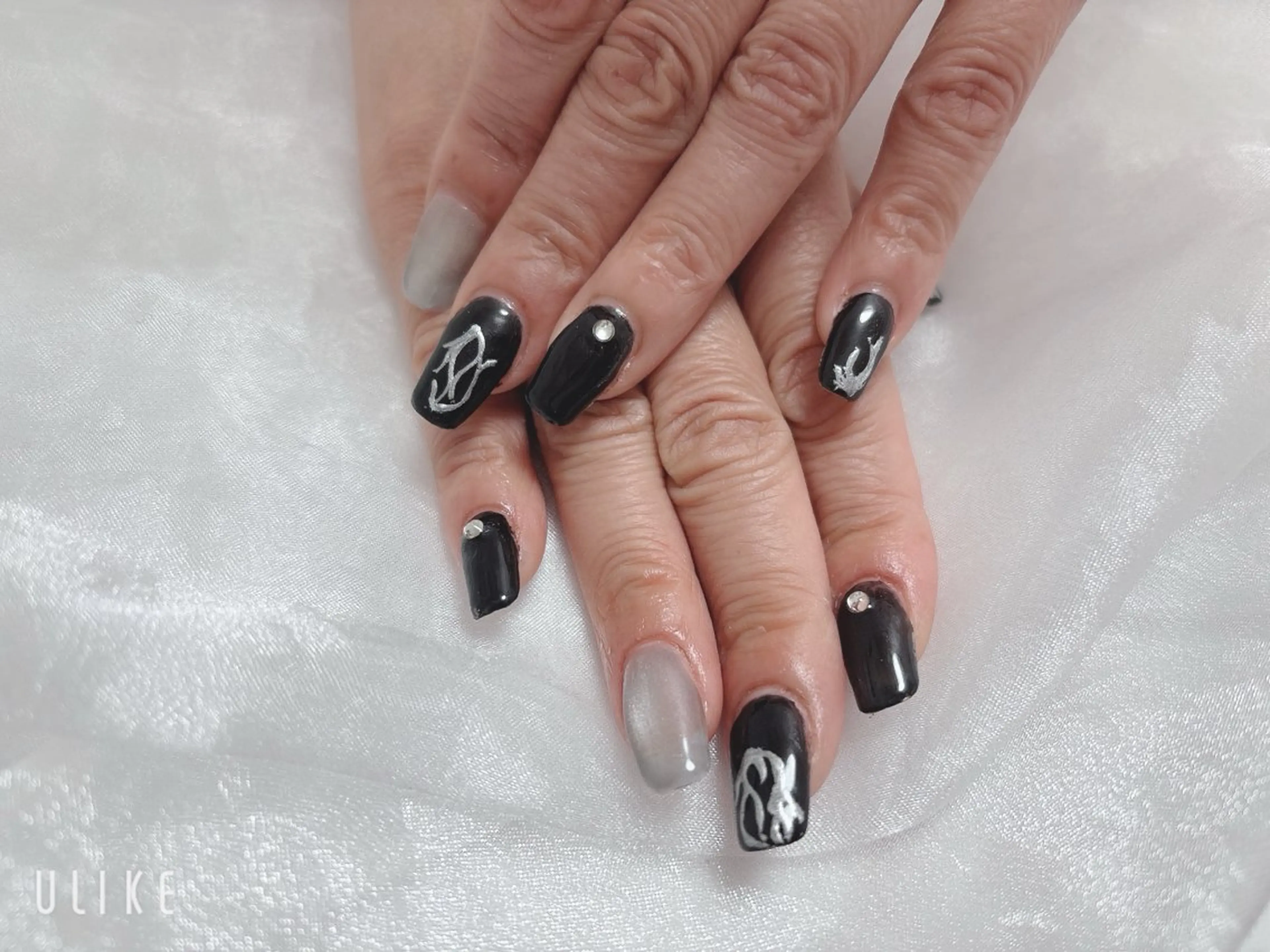 ネイル マグネットネイル シルバー ハンドネイル BABY LION :Fumiyoのネイルデザイン