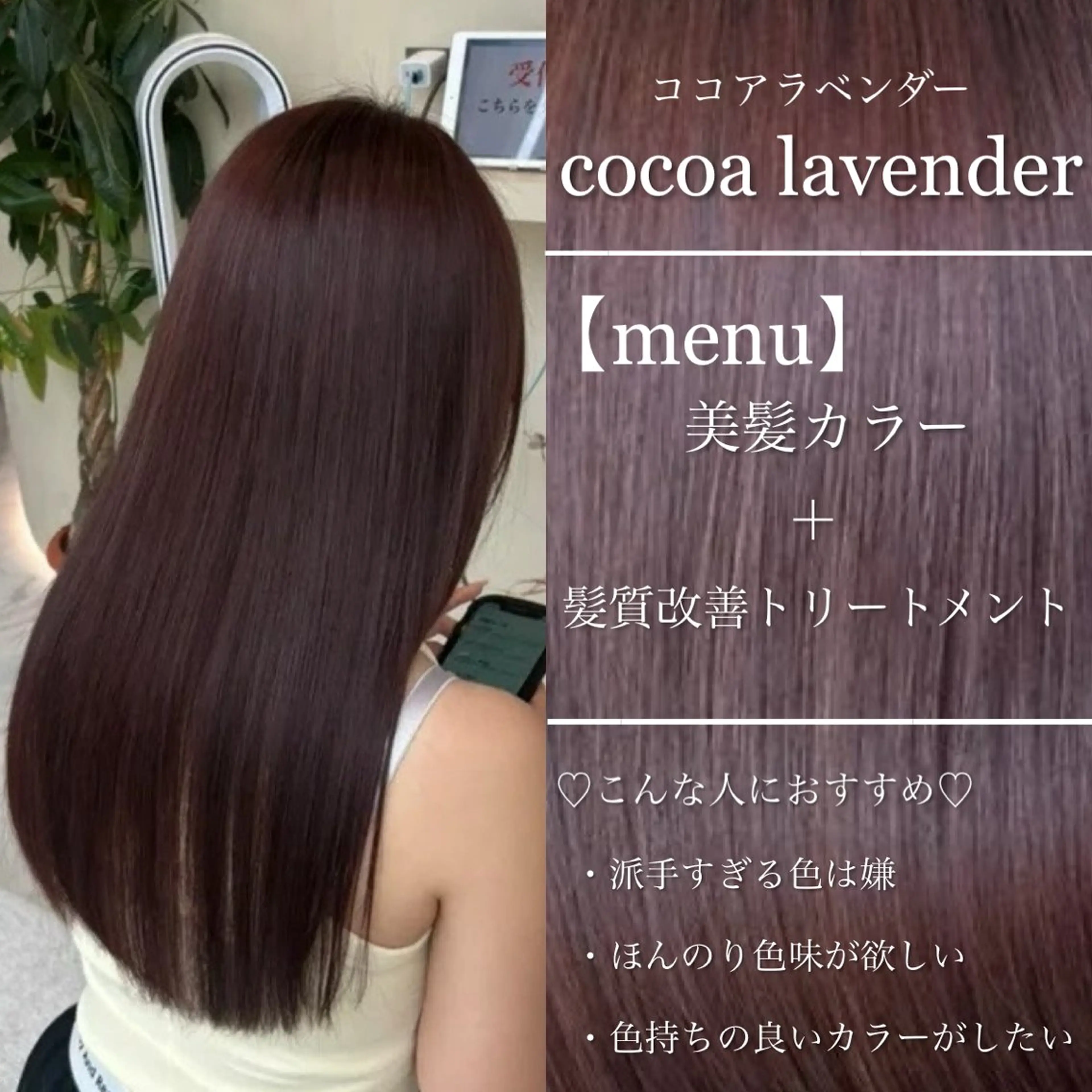 カラー 🩶グレージュの天才 ノア🩶のヘアスタイル