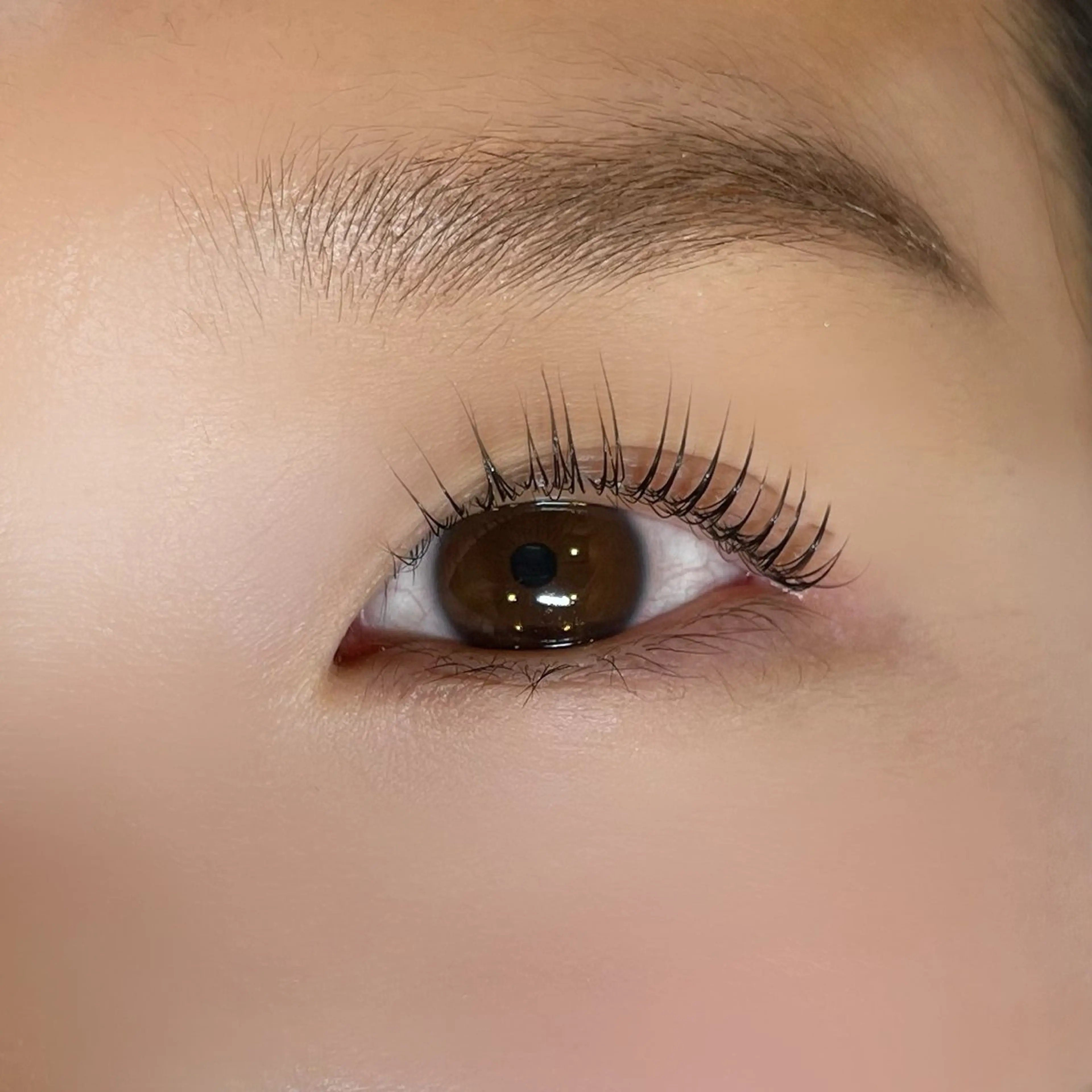 マツエク・マツパ まつげパーマ シュモレフェリーク所属・🍑 MOMOのマツエク・マツパデザイン