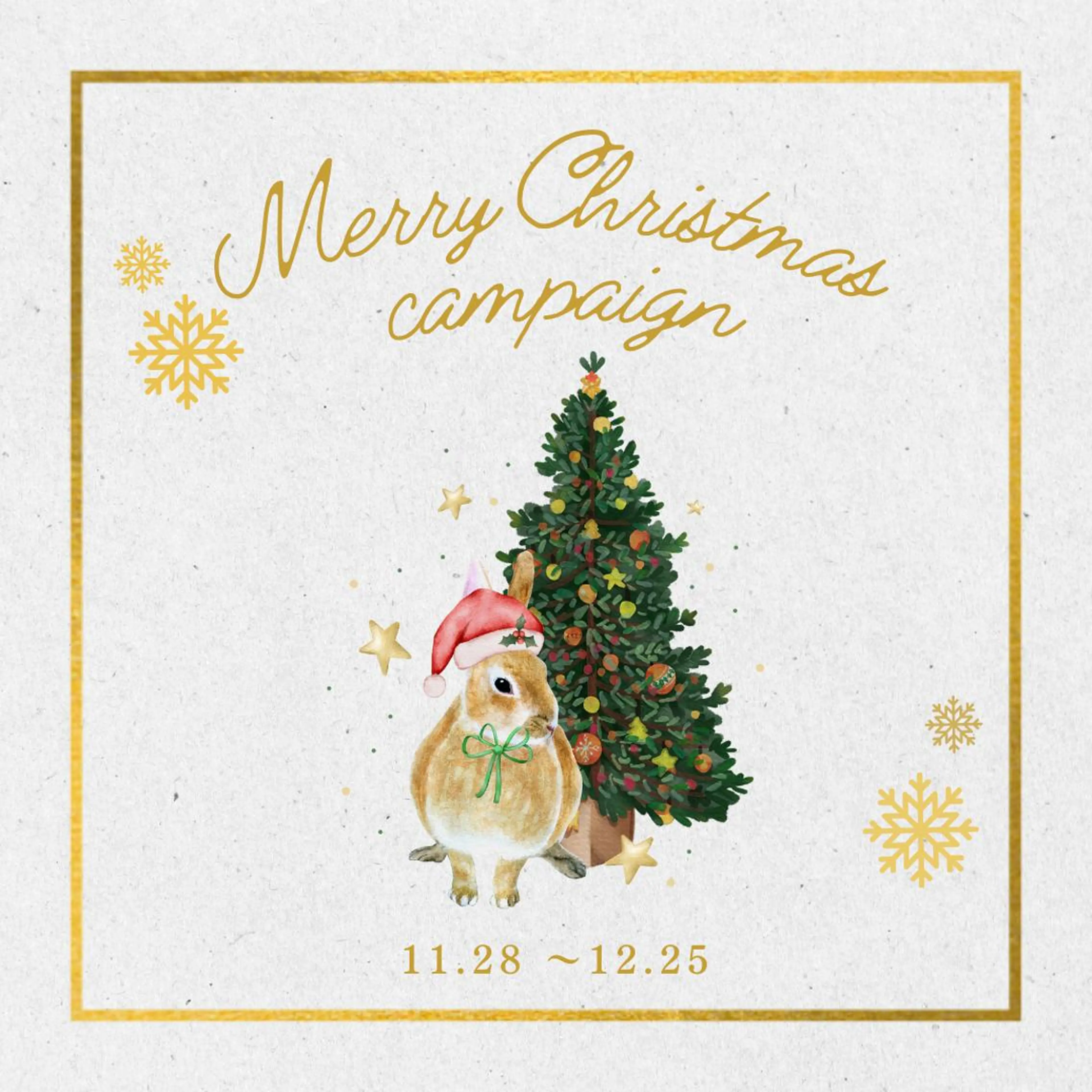 🤍Christmasキャンペーン🤍まつ毛パーマ＋コーティング付き♡の写真