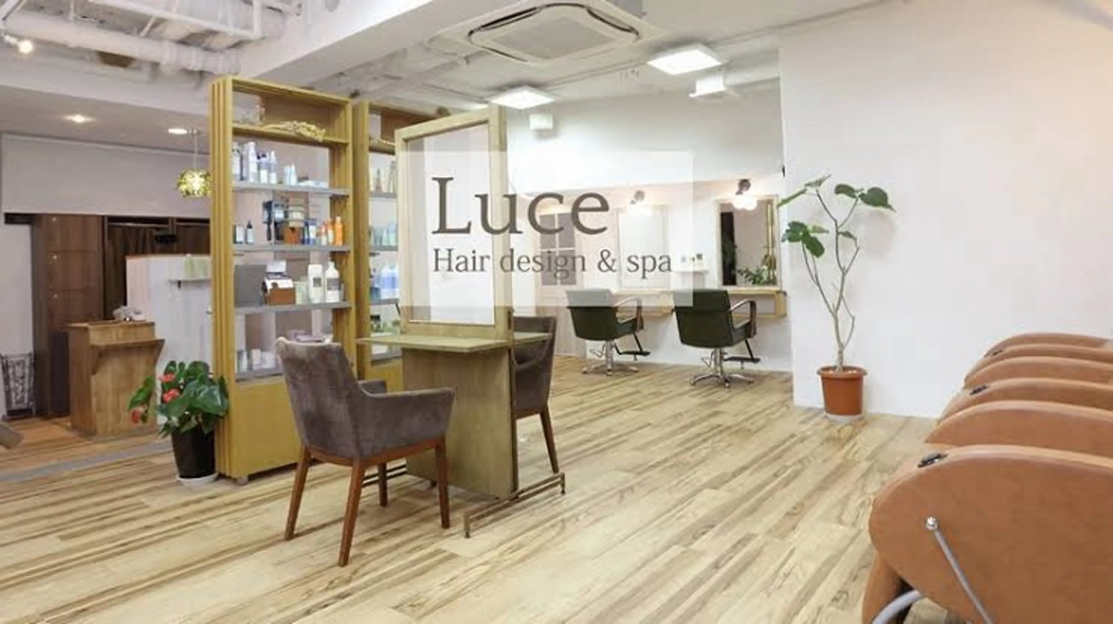 【限定🎉】レディースボブカット💇‍♀️+根本染め🌈+トリートメント🧴の写真