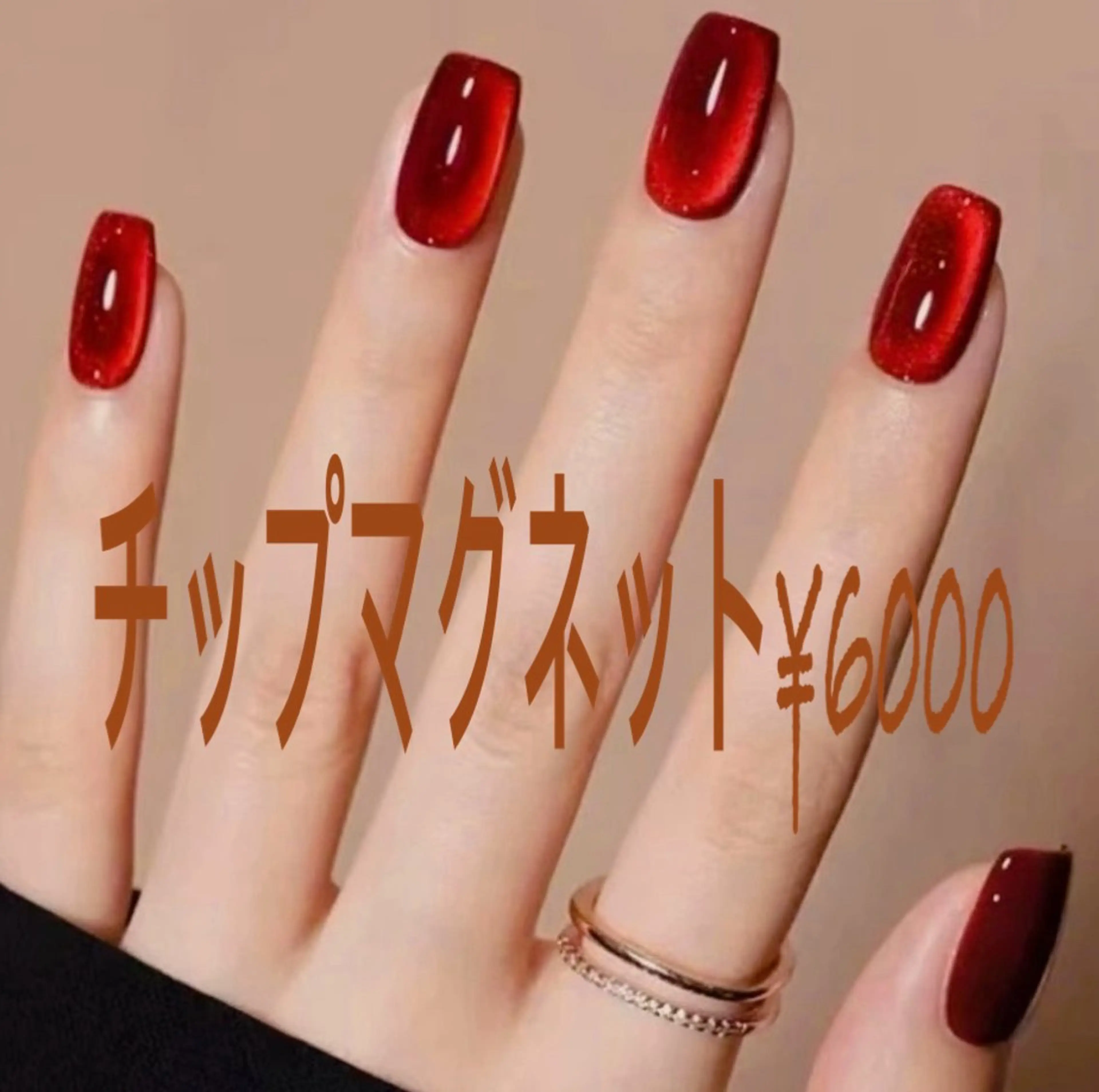 チップ長さ出し10本➕マグネットorマグネットフレンチの写真