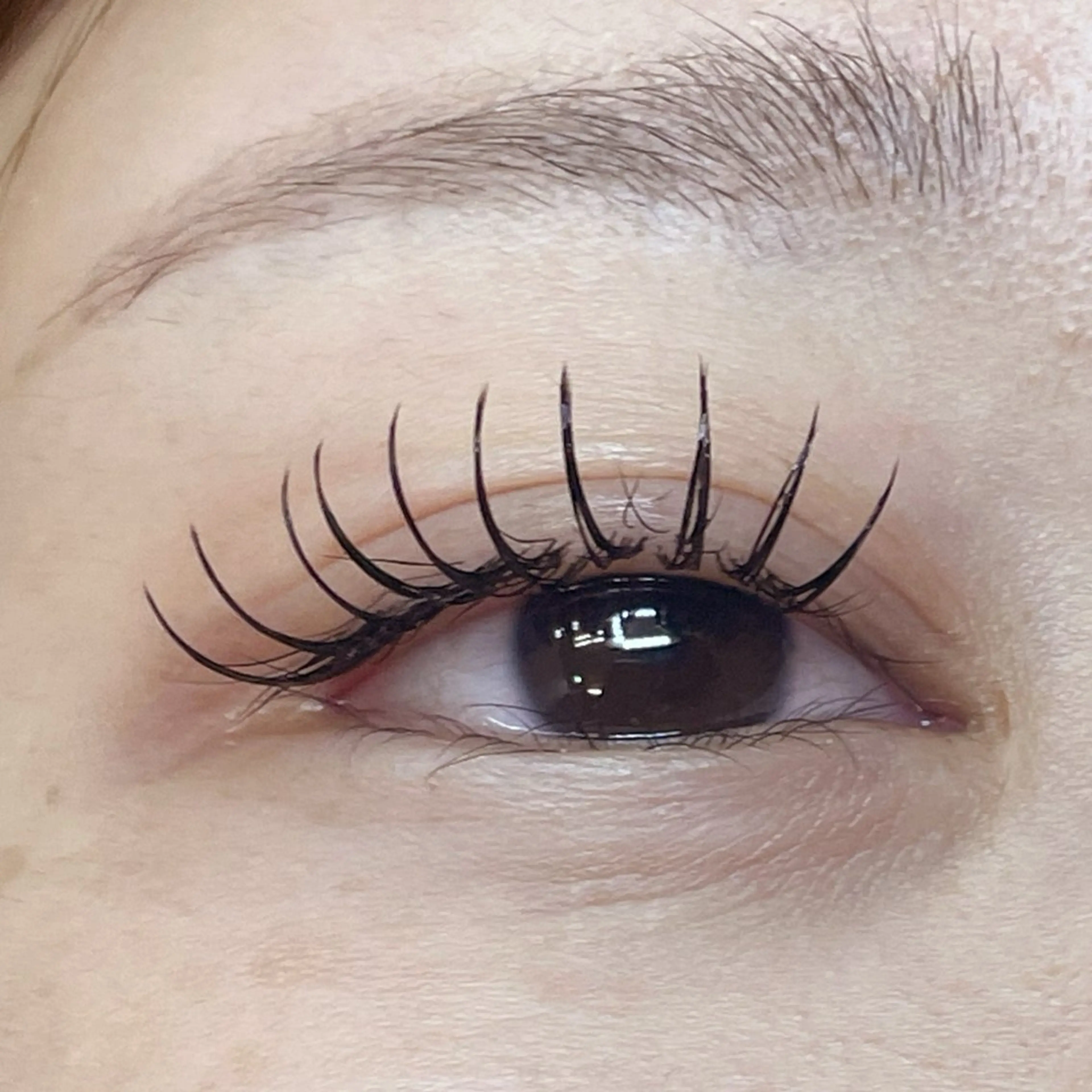 マツエク・マツパ フラットラッシュ Furukawa 川越  MAQUIAのマツエク・マツパデザイン