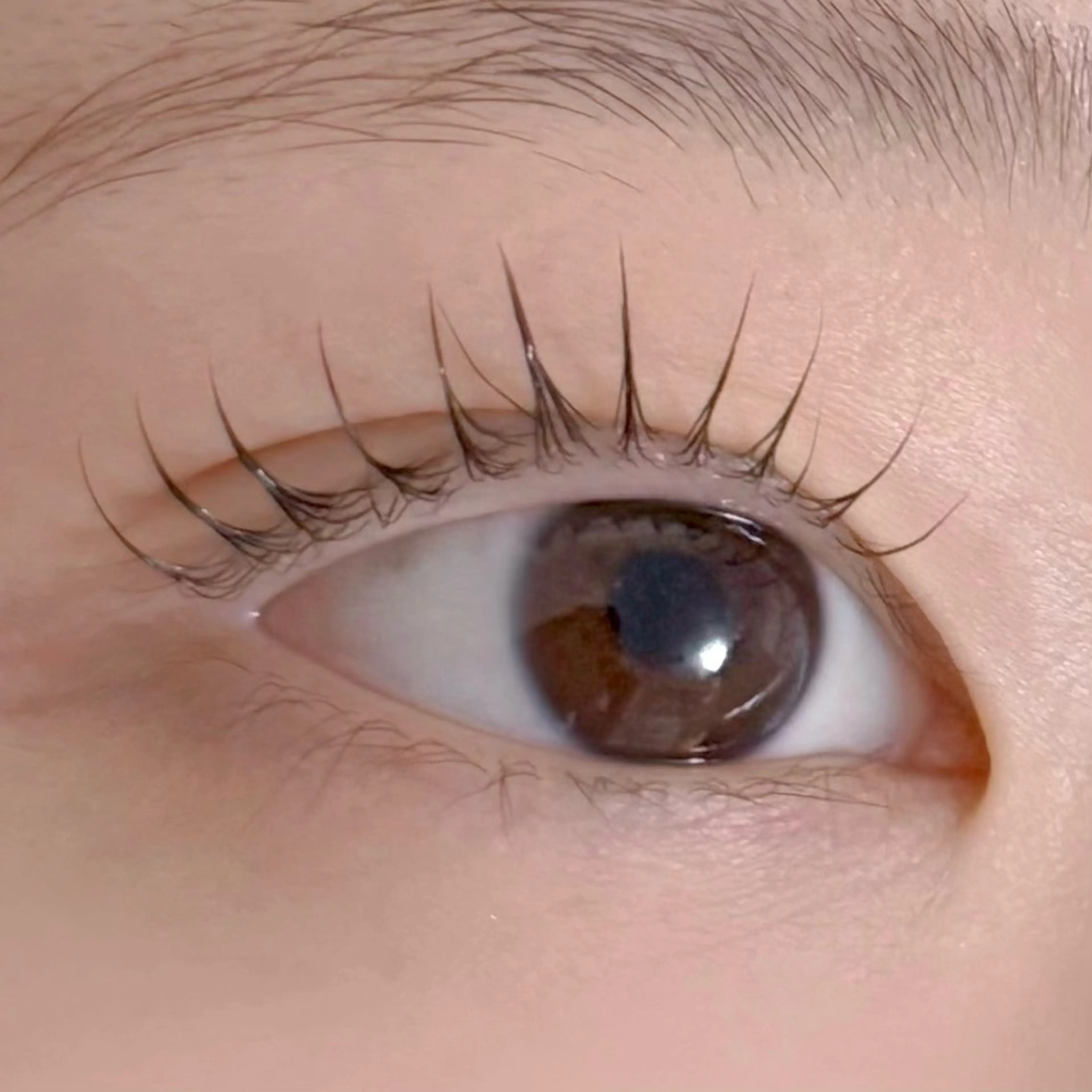 マツエク・マツパ マツパ 福山 愛佳のマツエク・マツパデザイン