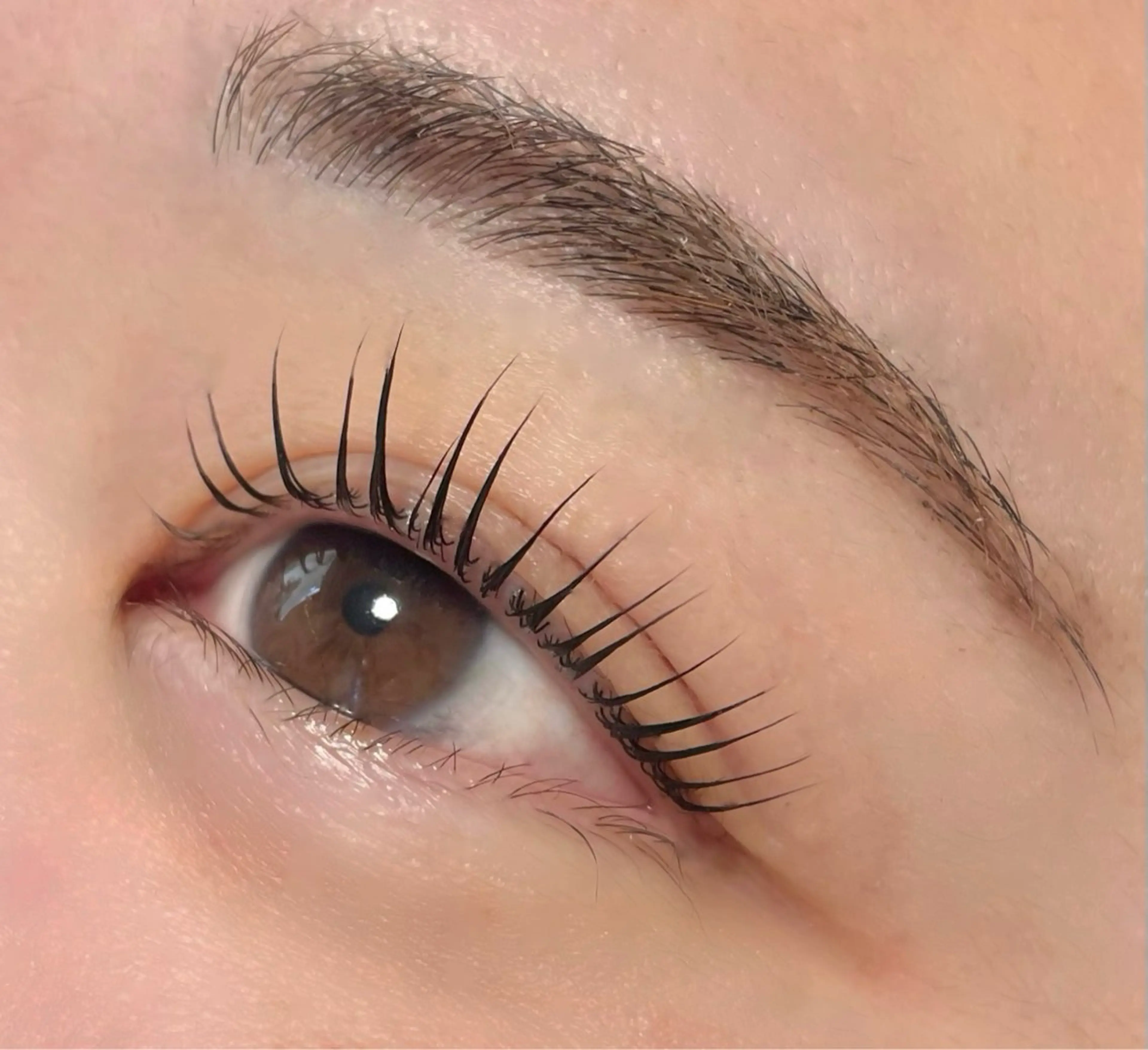 ラッシュリフト上💕（他店マツエクオフ無料）の写真