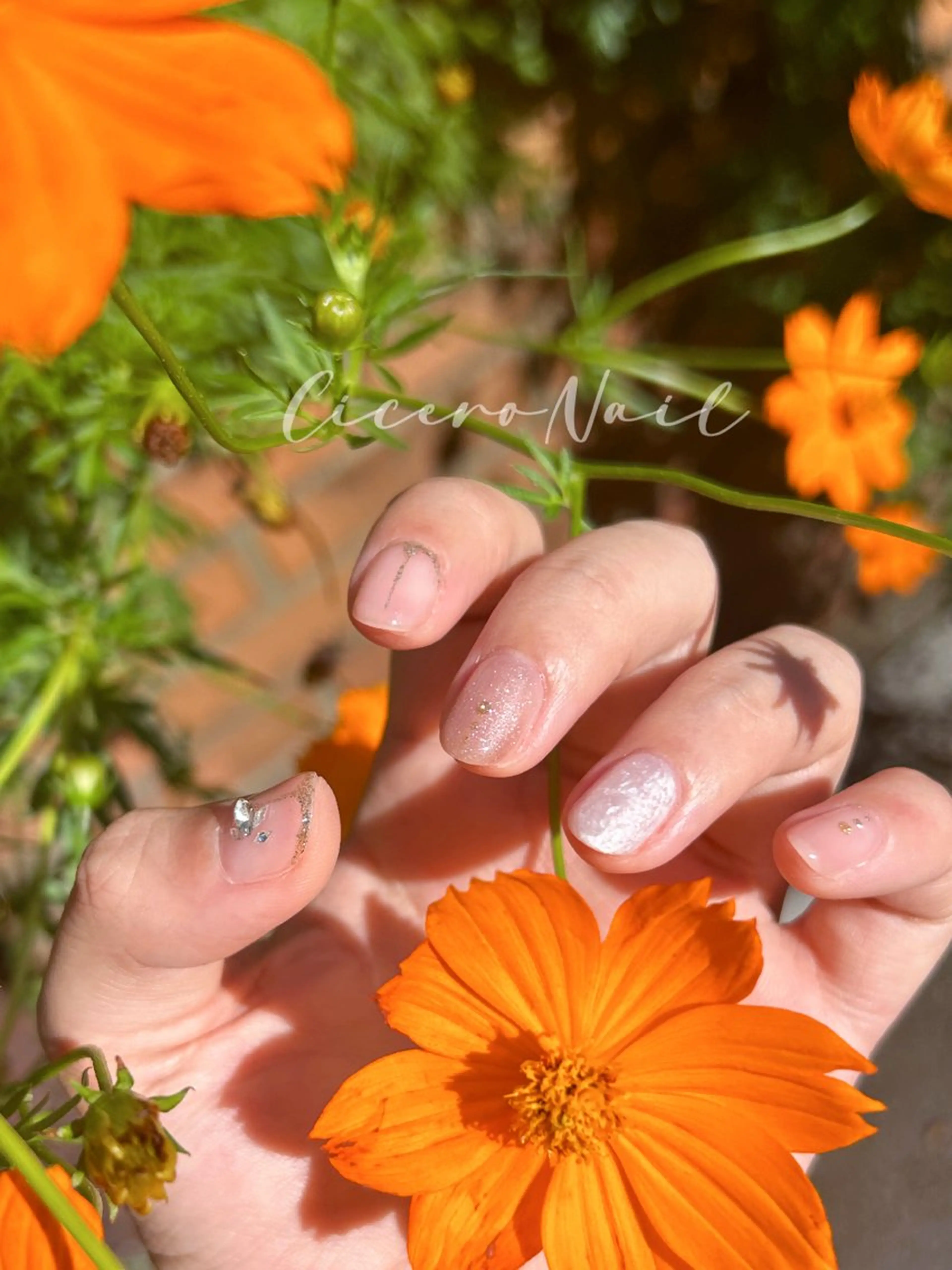 ネイル Cicero Nailのネイルデザイン