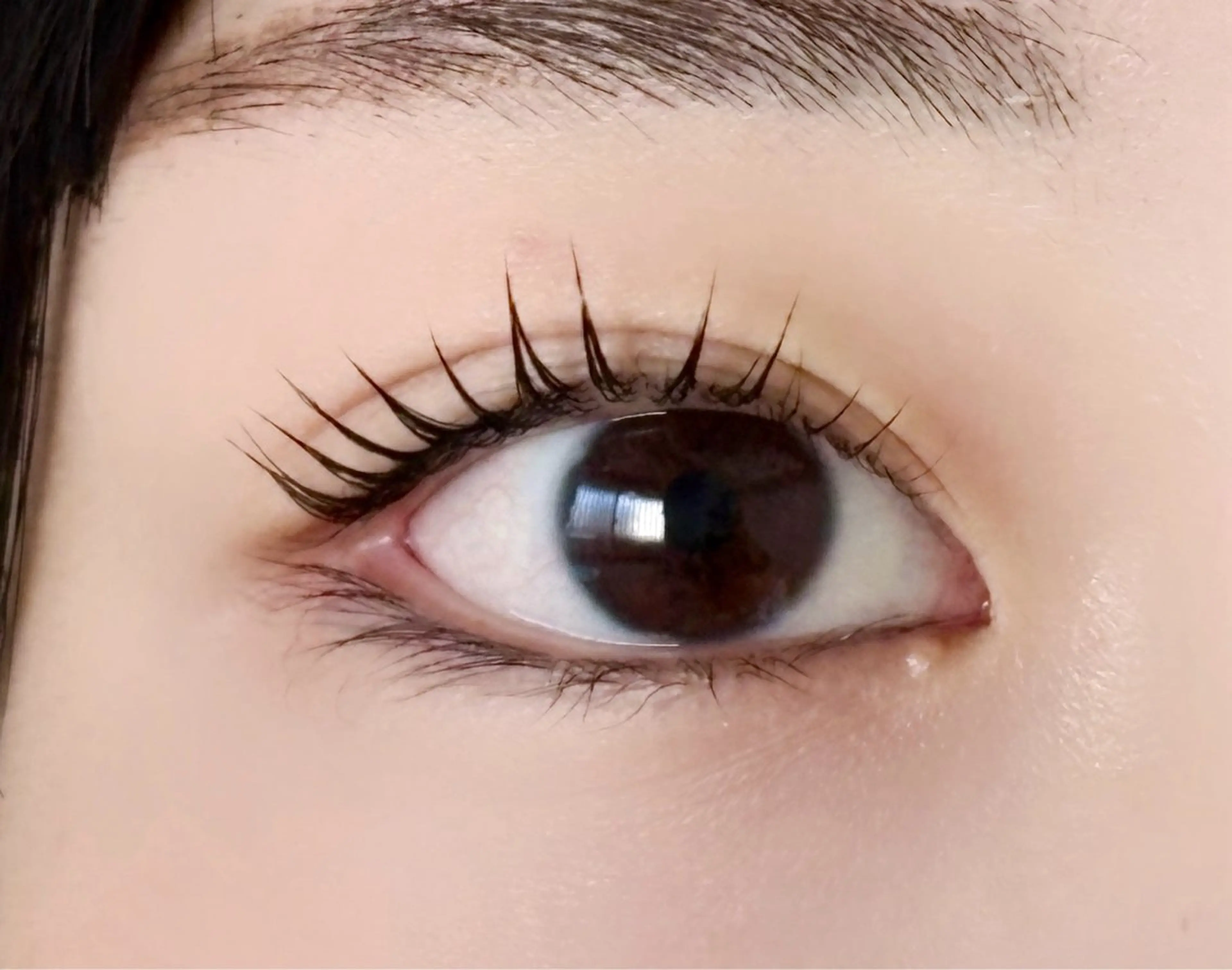 🌷ラッシュリフト/まつ毛パーマ✨11:15〜予約リクエスト承り中です♪の写真