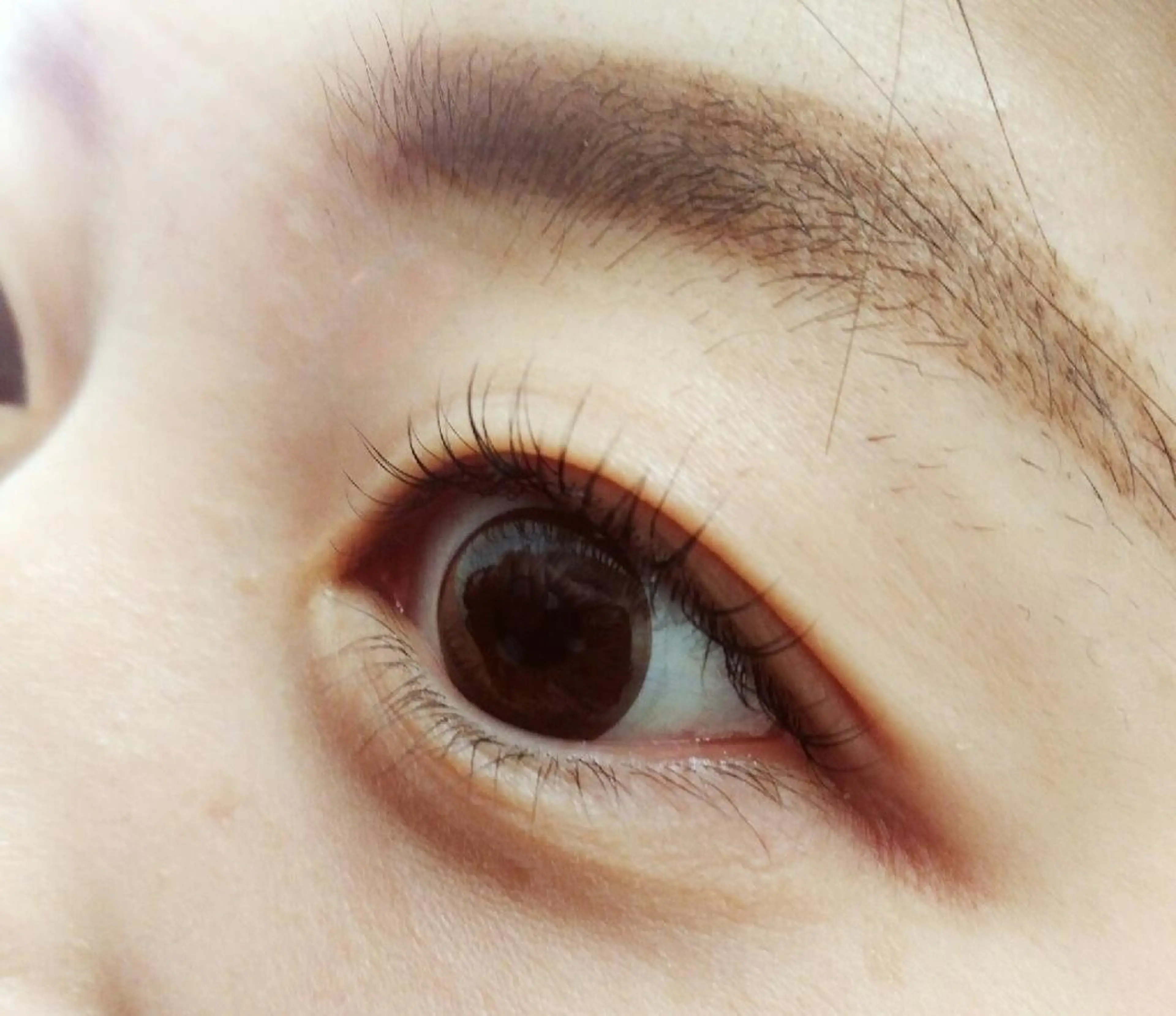 マツエク・マツパ 一重×まつ毛パーマ ClatisseMavie所属・Clatisse Mavieのエステ・リラクイメージ