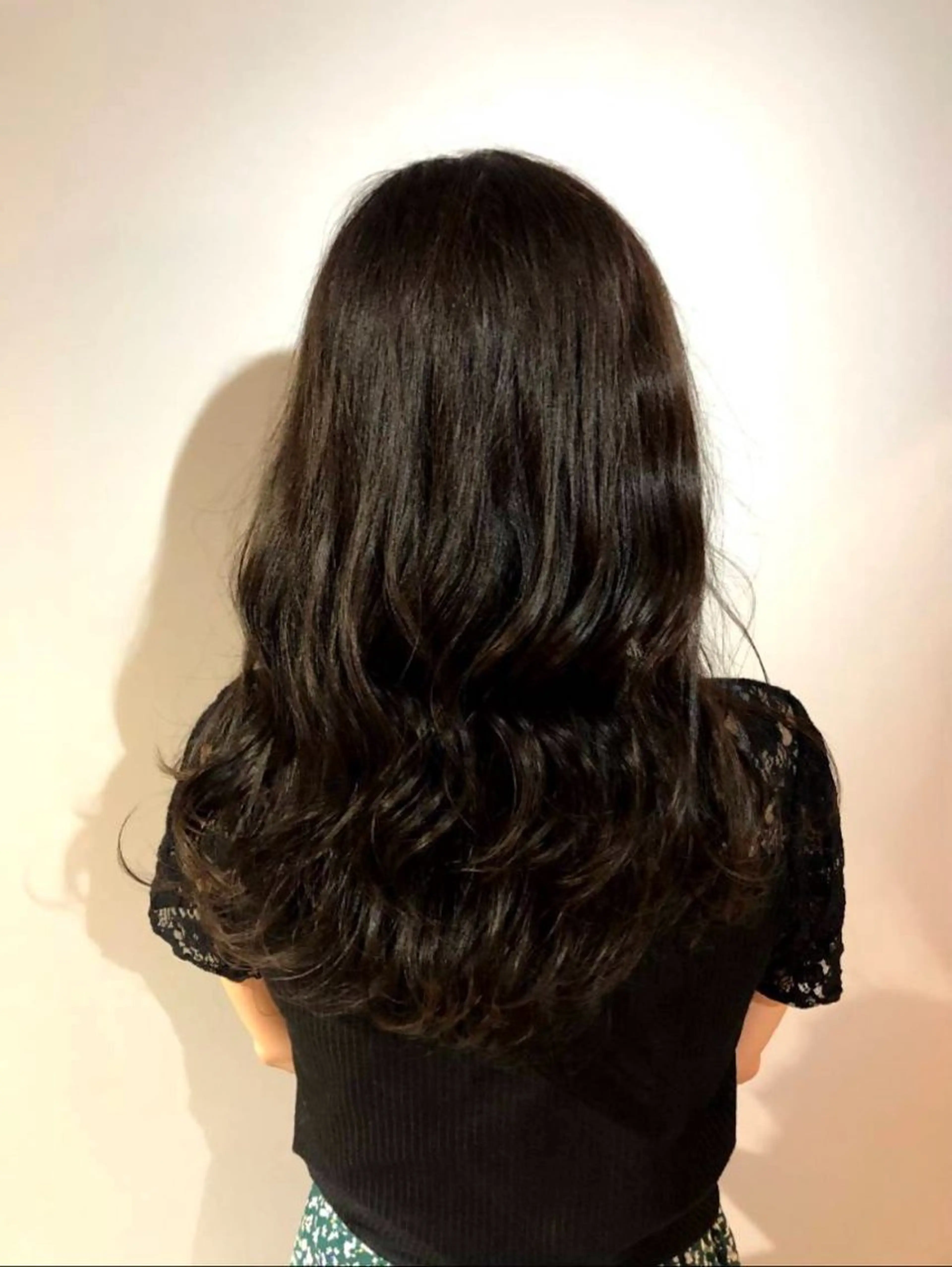 ワンカラーの写真