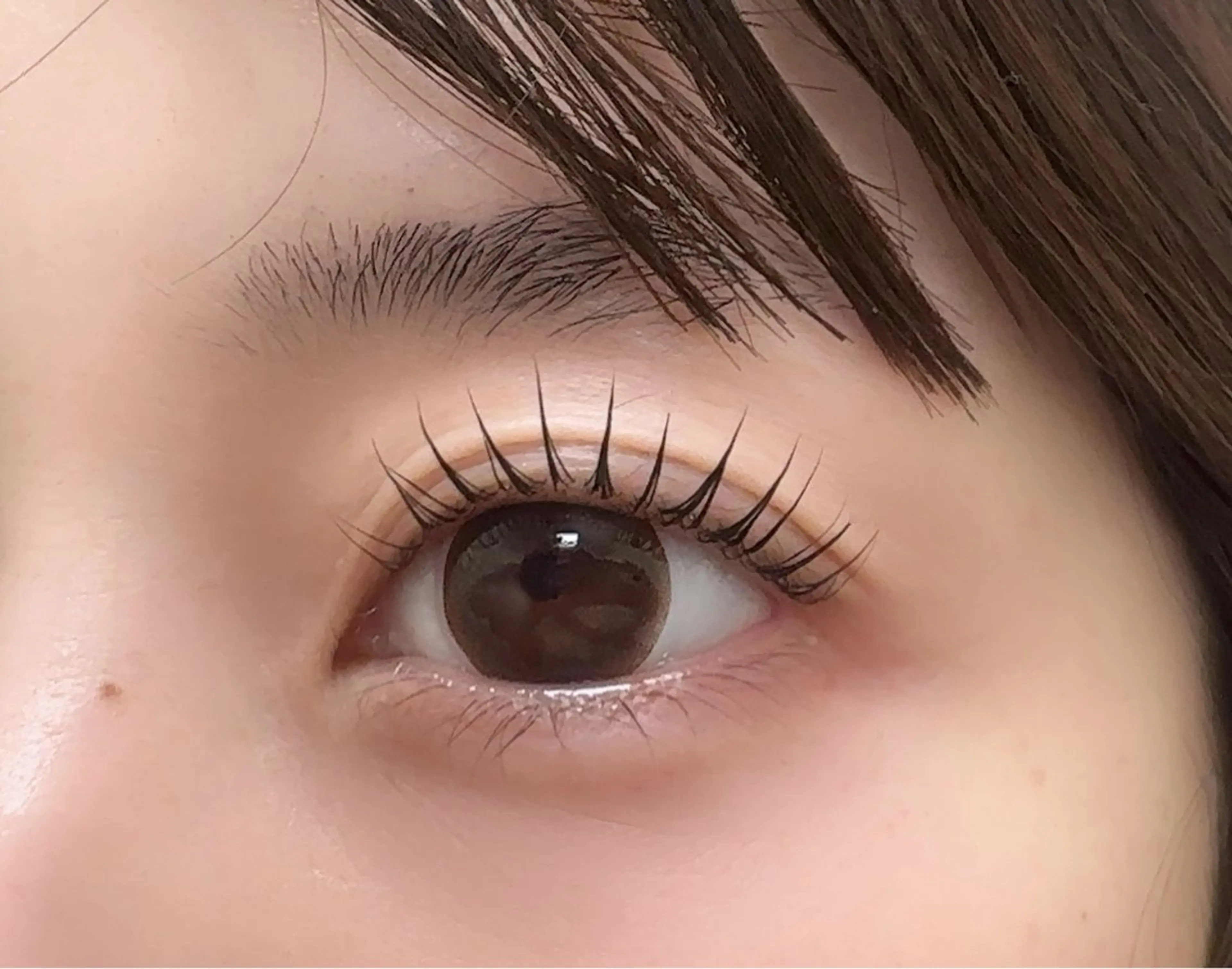 マツエク・マツパ 付け放題 バインドロック 束感まつ毛 カラーマツエク フラットラッシュ マツパ W salon アイラッシュのマツエク・マツパデザイン