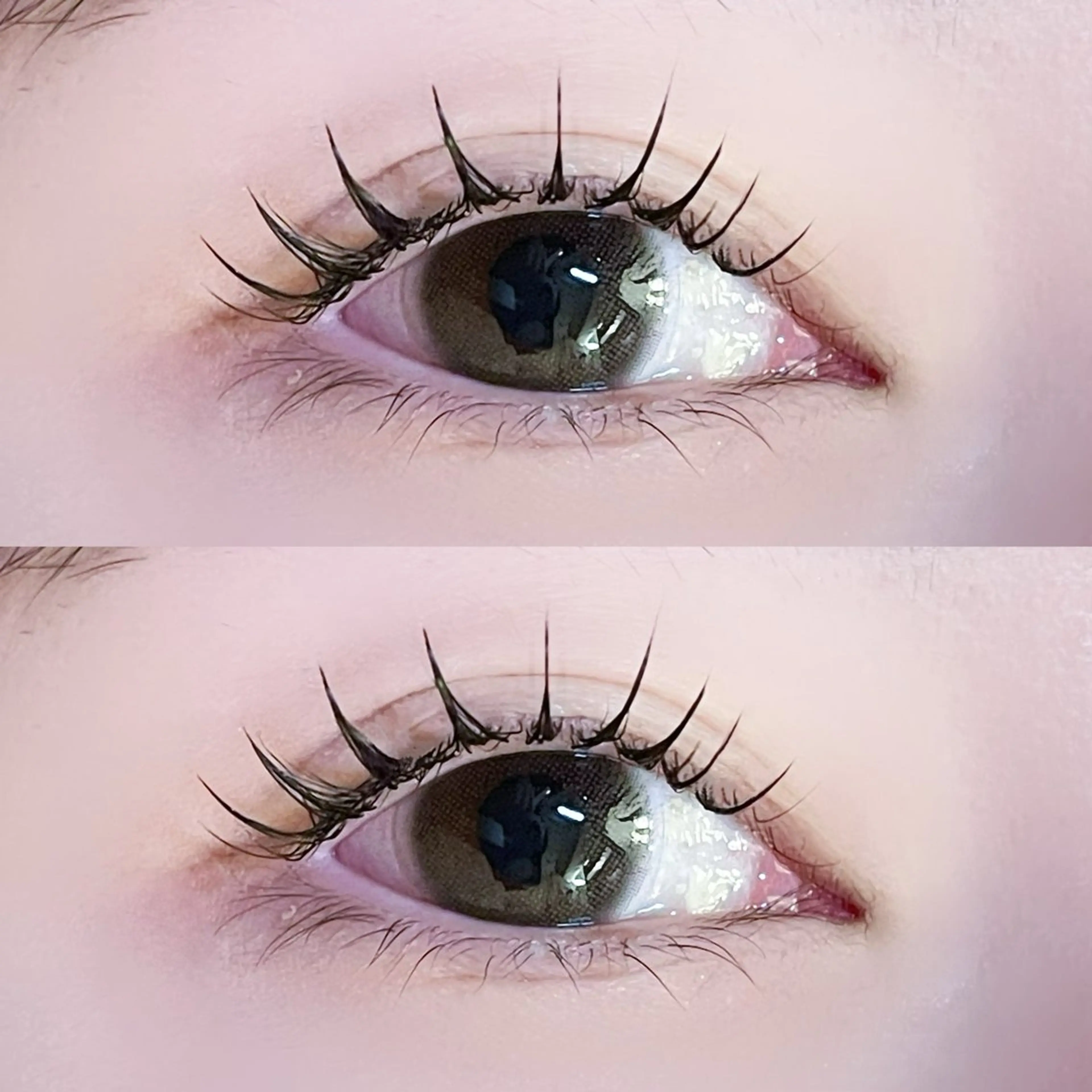 マツエク・マツパ マツエク Azuria恵比寿 🕊️Maayaのその他イメージ