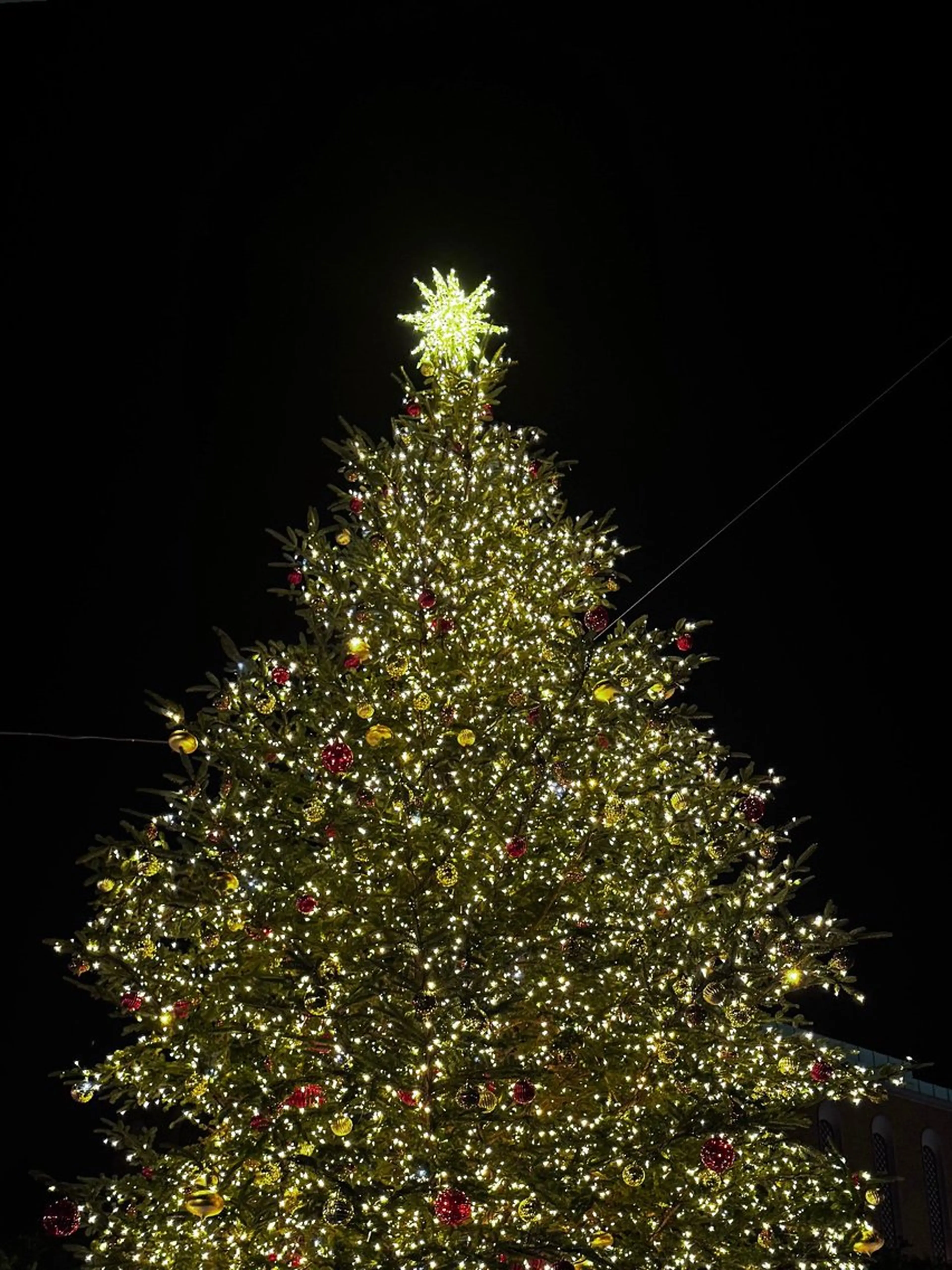 ロング ヘアカラー Loops六角橋店所属・𖥔 ݁ ˖✿₊˚⊹ ソウ🌻のヘアスタイル