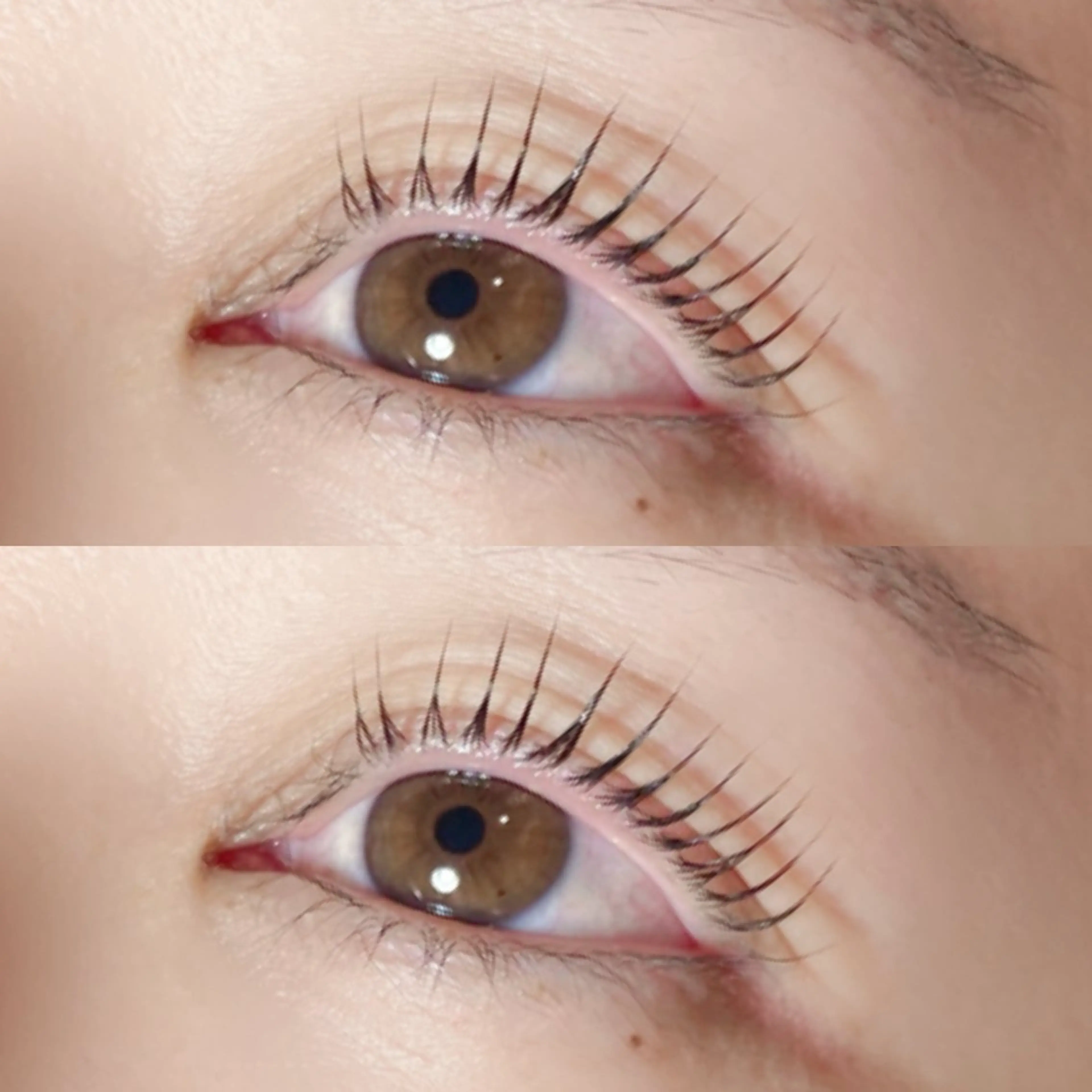 マツエク・マツパ マツパ Maazlash 5のマツエク・マツパデザイン