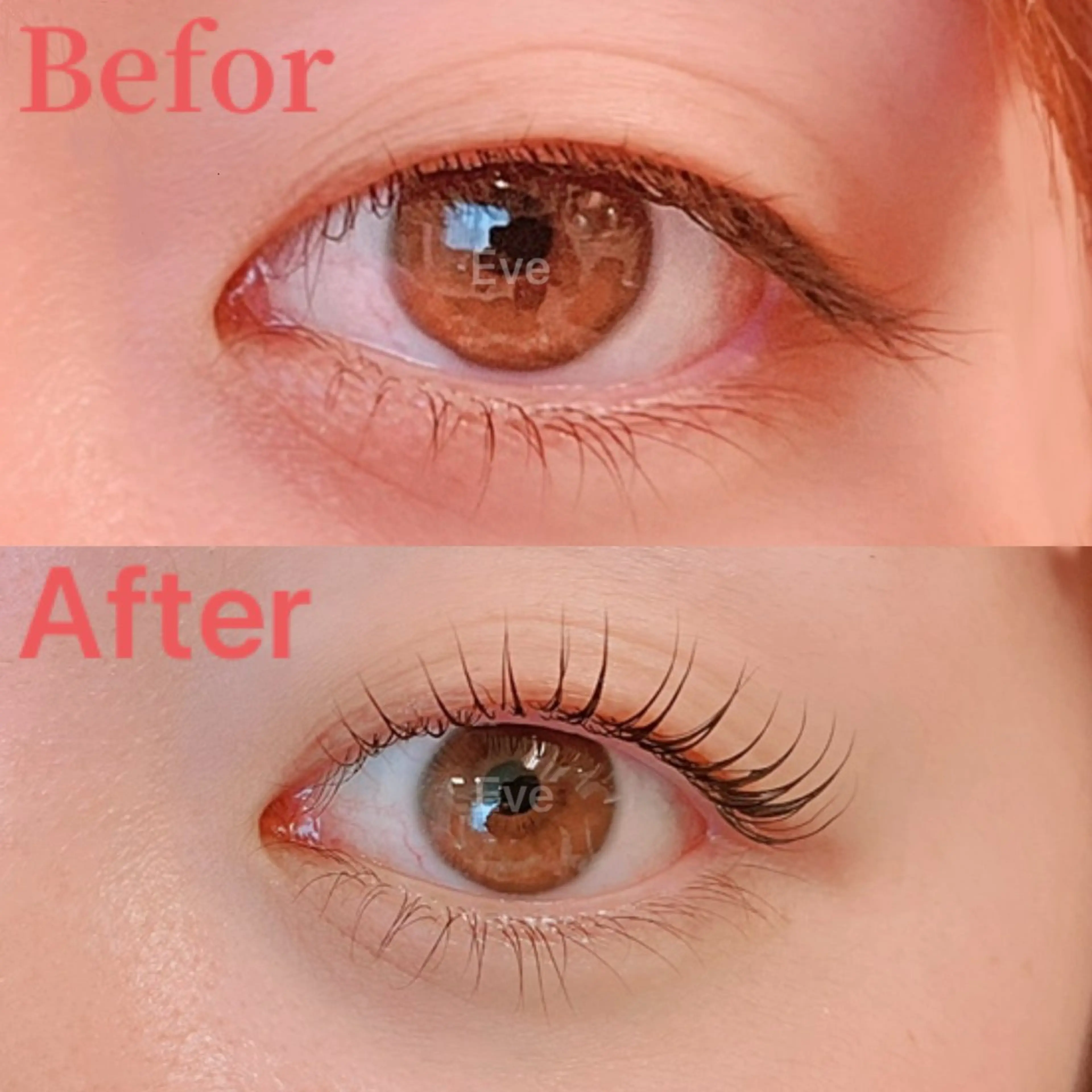 マツエク・マツパ 一重×まつ毛パーマ マツパ Eyelash salon Eve所属・Eve マイのマツエク・マツパデザイン