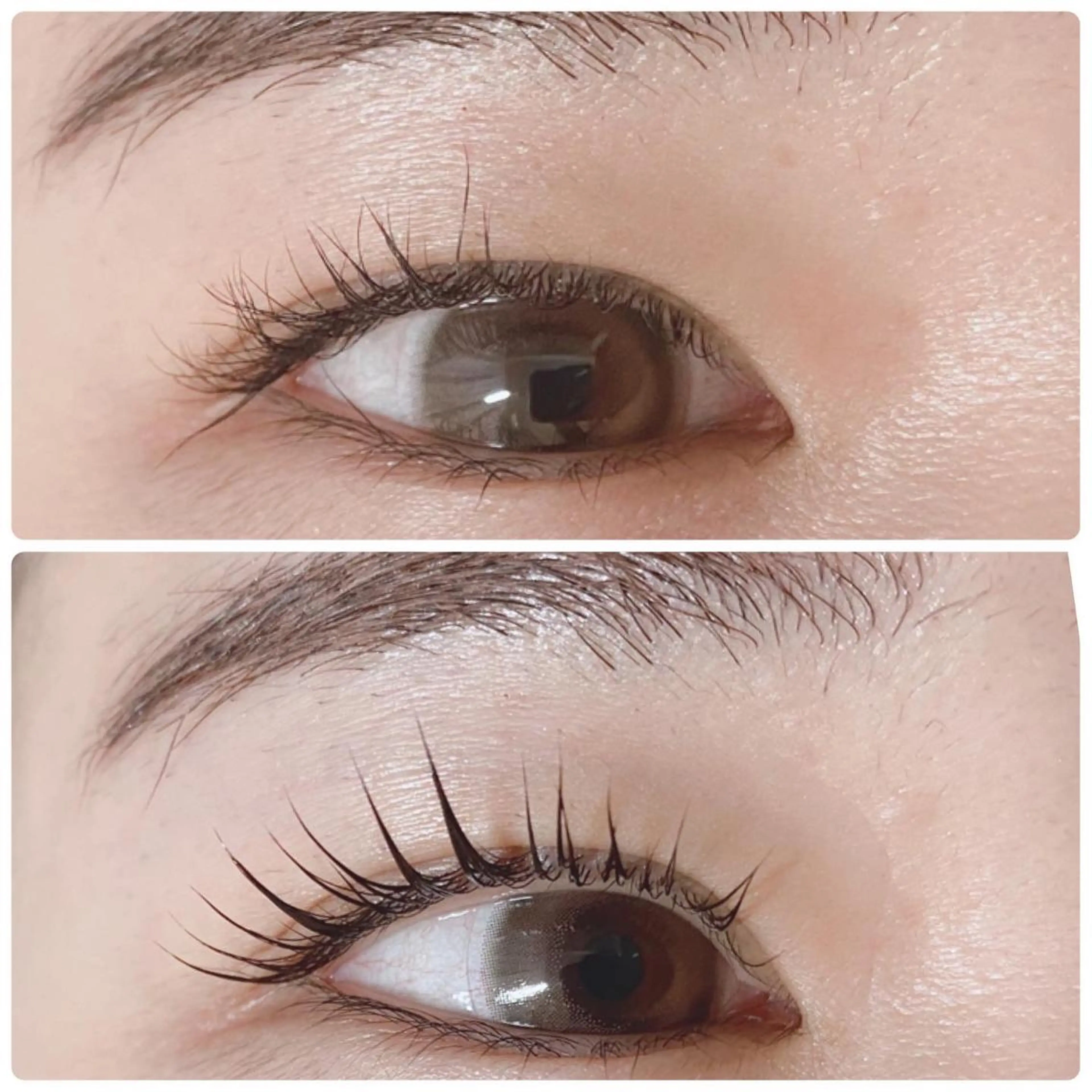 マツエク・マツパ Eyelash salon  R∞lien所属・マツエク×まつぱ 専門店リアンのマツエク・マツパデザイン