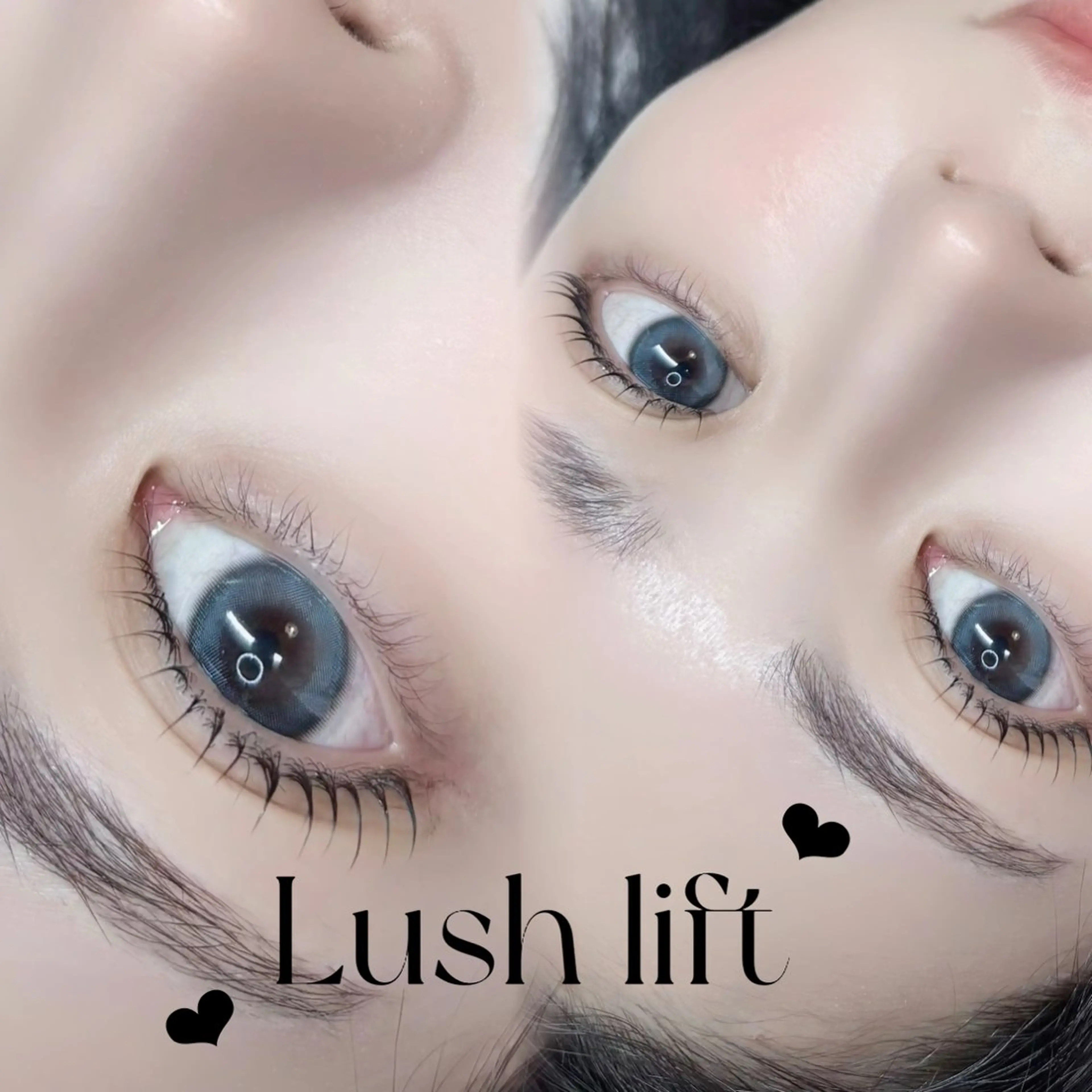 【上品ナチュラル♡】シェルロッドまつげパーマ🫧の写真