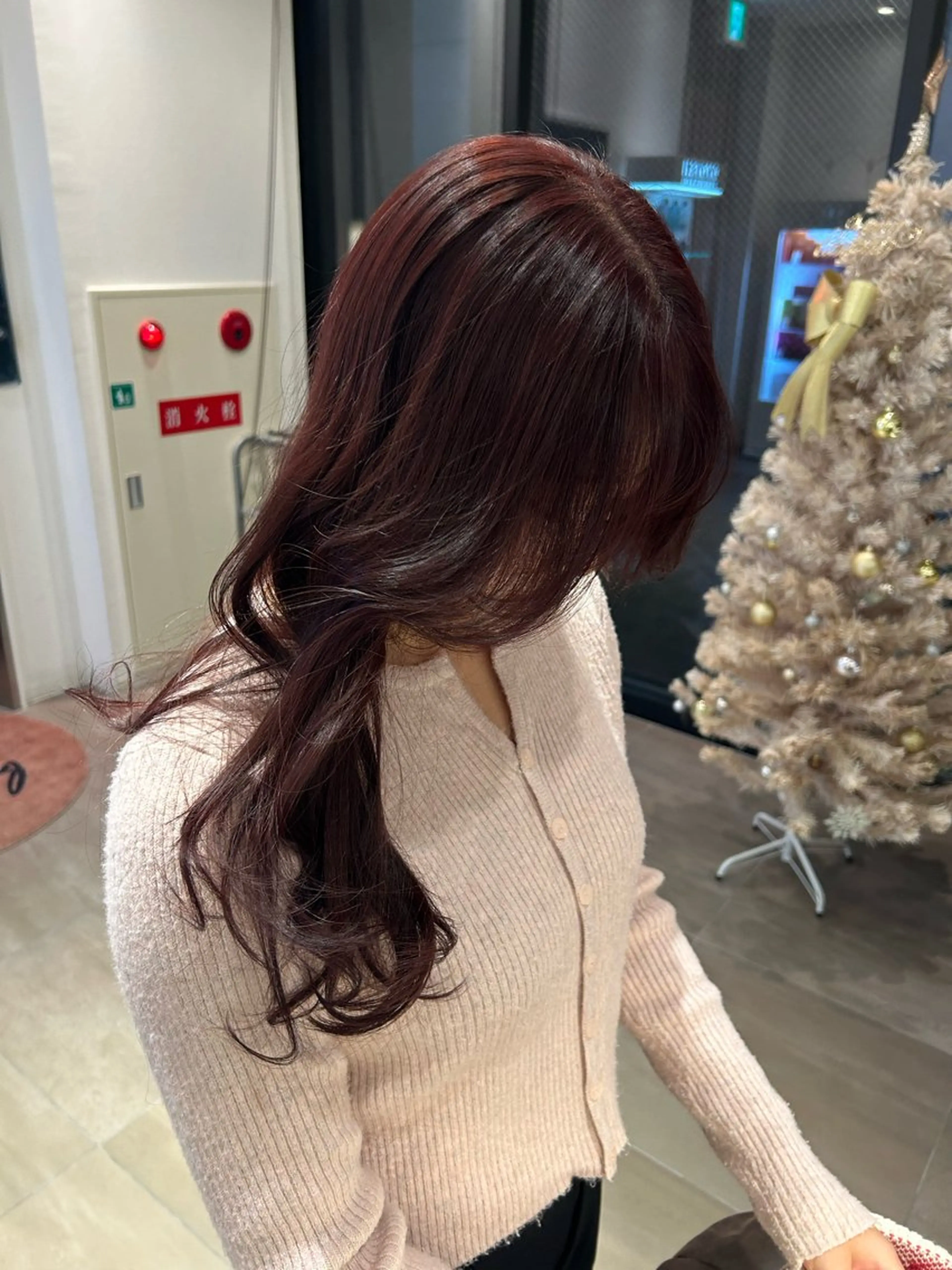 ブリーチなしダブルカラー🍒の写真