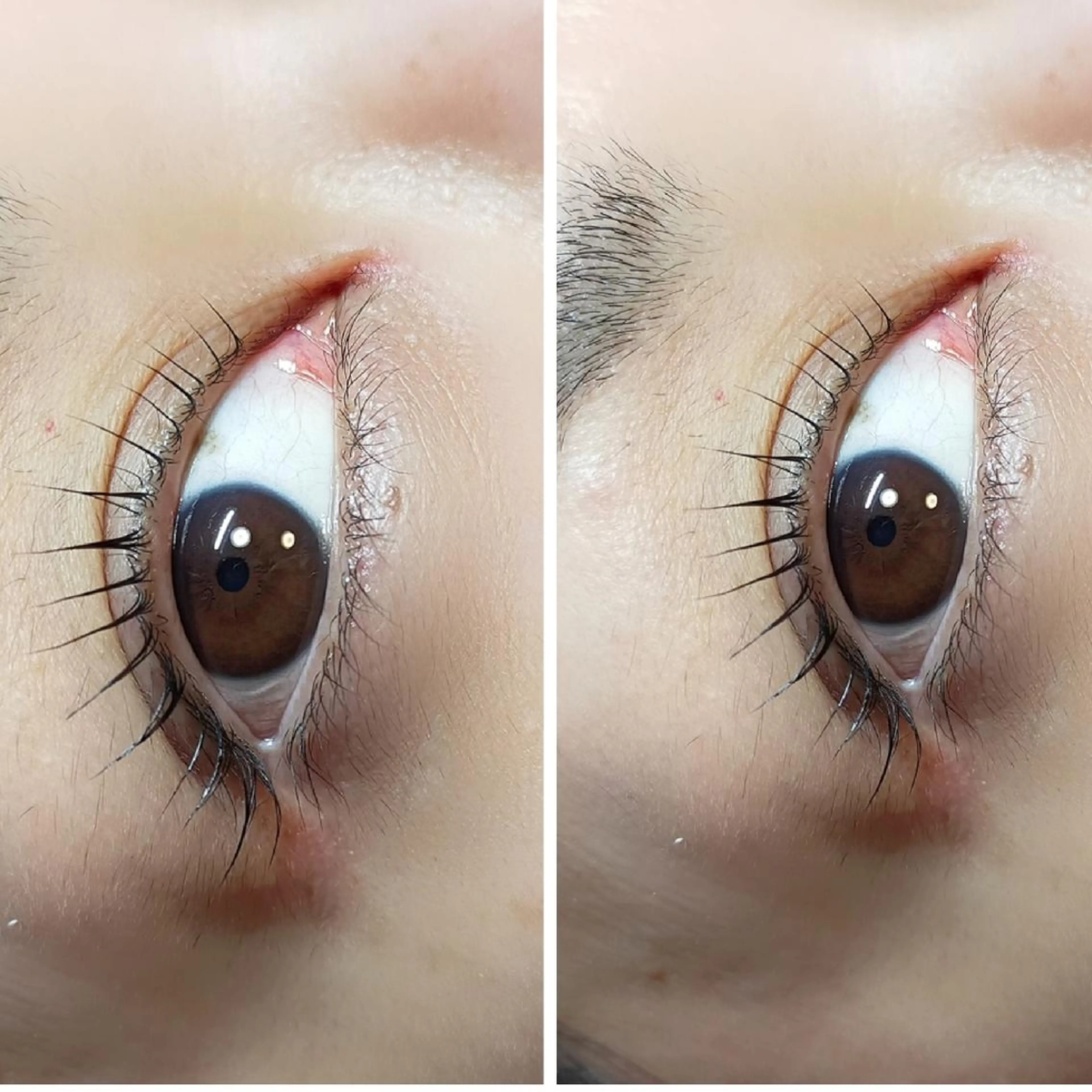 マツエク・マツパ マツパ 宜野湾Eyelash w/の眉毛・アイブロウイメージ