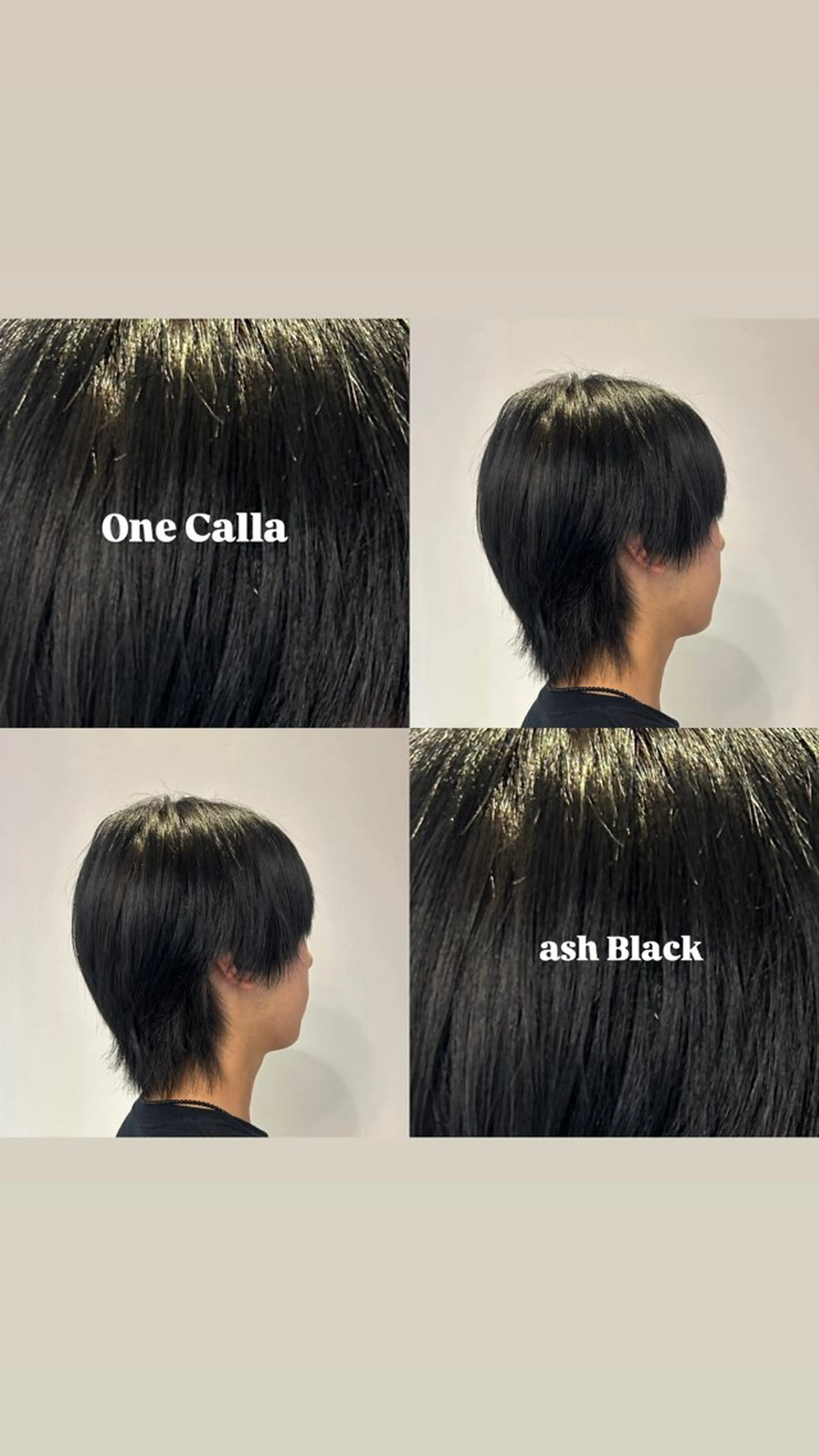 カラー アッシュ アッシュブラック 黒髪 今村 光希のヘアスタイル