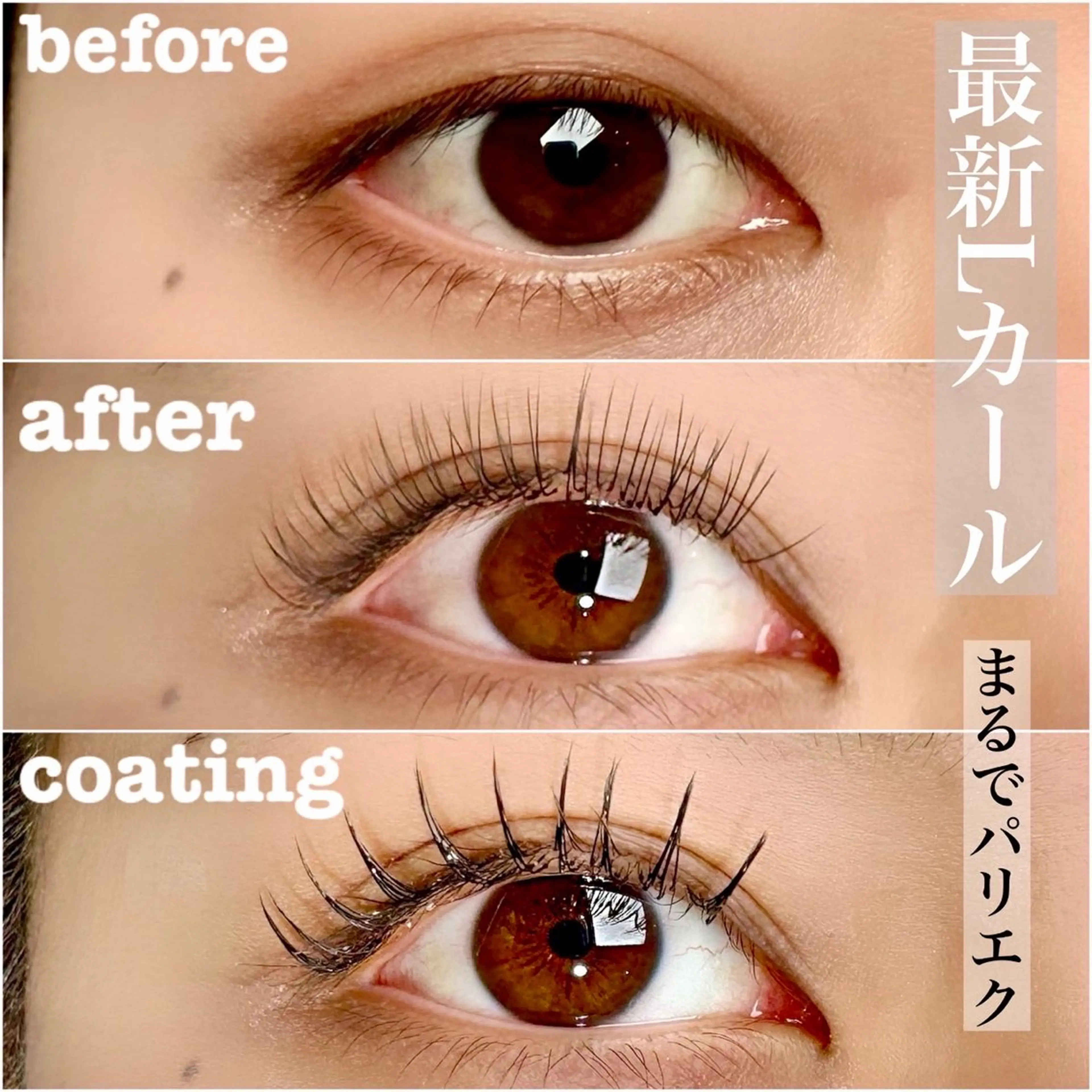 9月限定❣️Lカール×フラットラッシュ140本/オフ込の写真