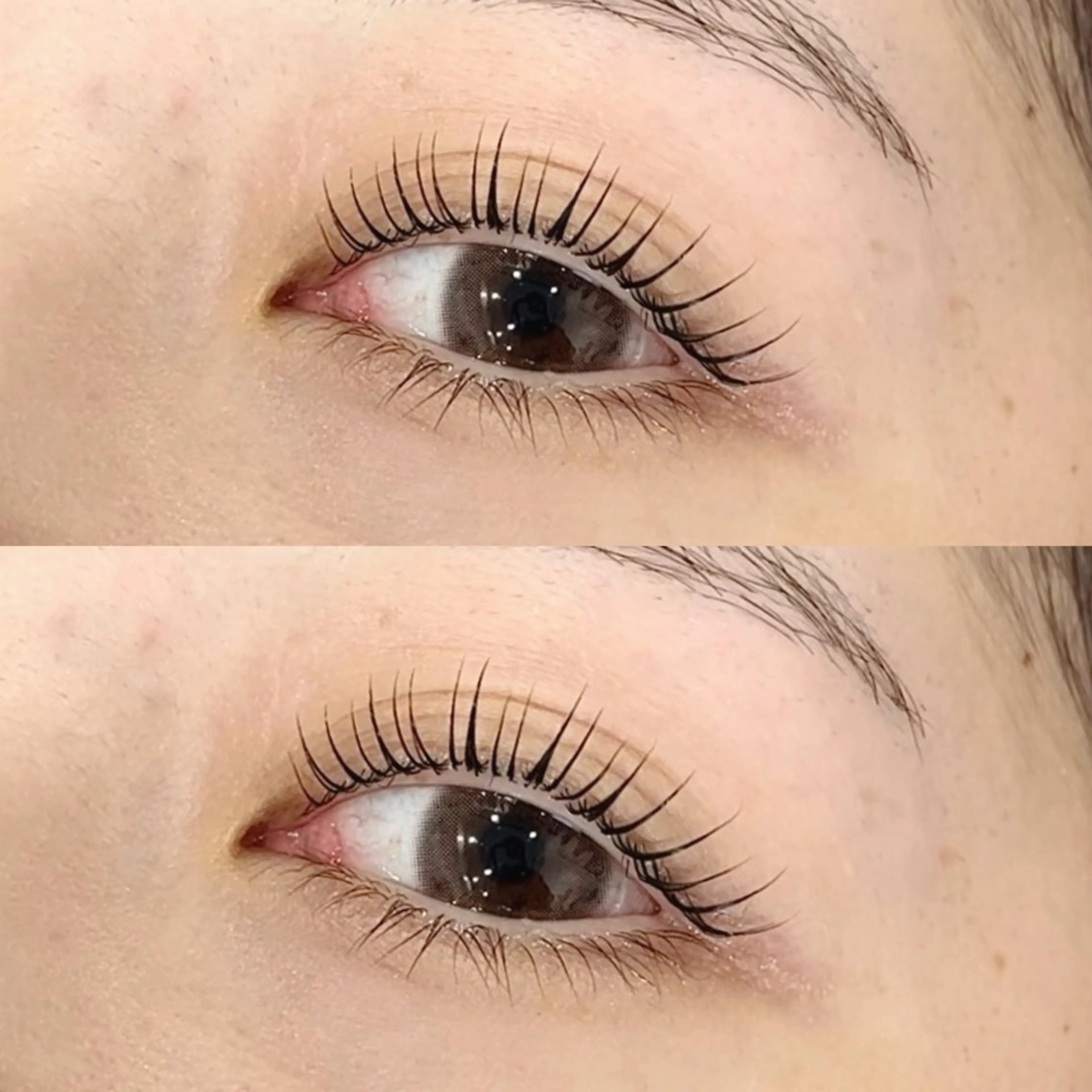 【眉＆まつげ Design Set】美眉WAX＋次世代まつ毛パーマ＋眉メイク仕上げの写真