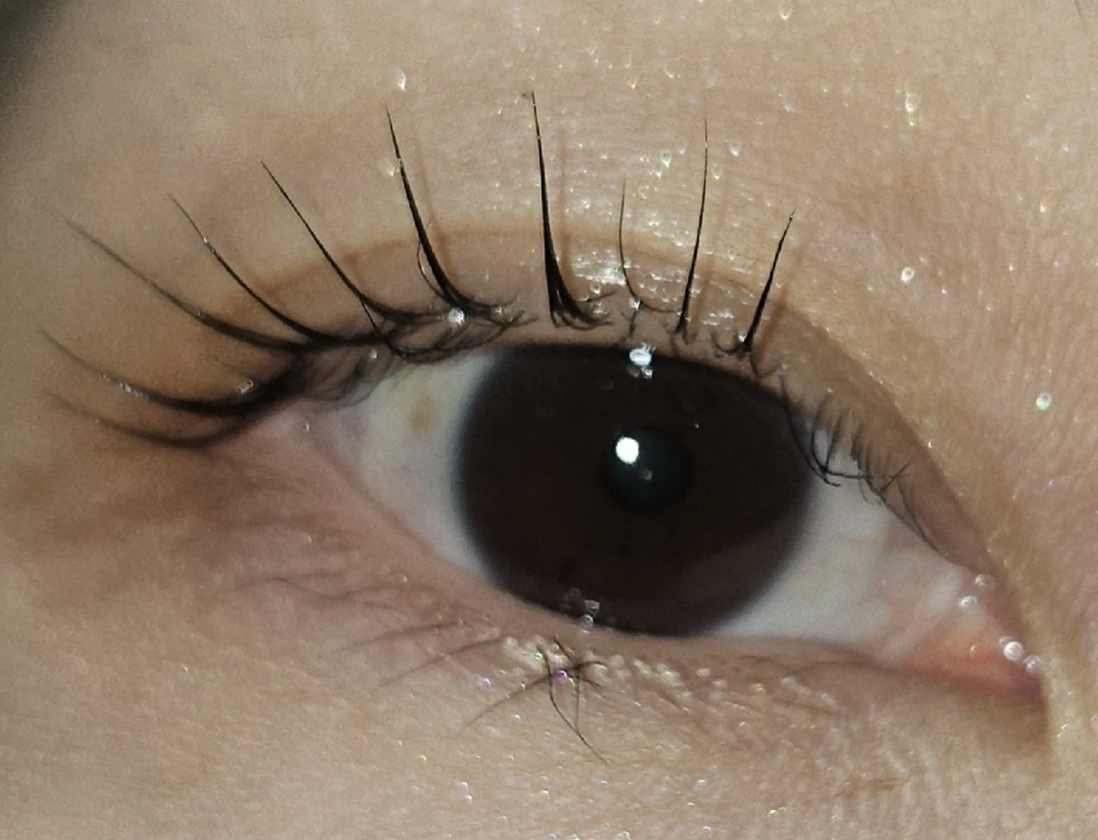 ケラチンラッシュリフトの写真