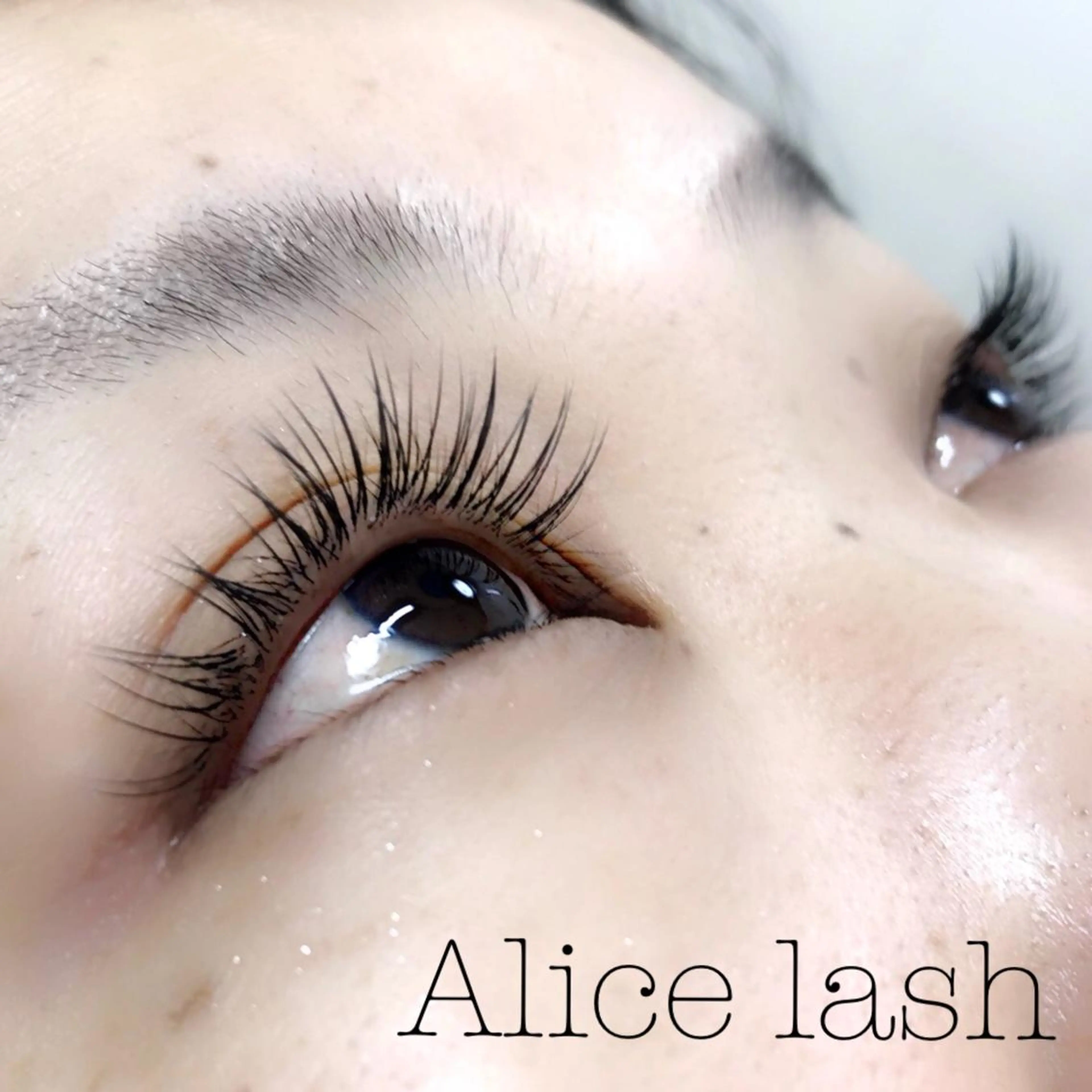 マツエク・マツパ エクステ Alice lash所属・Alice lashのマツエク・マツパデザイン