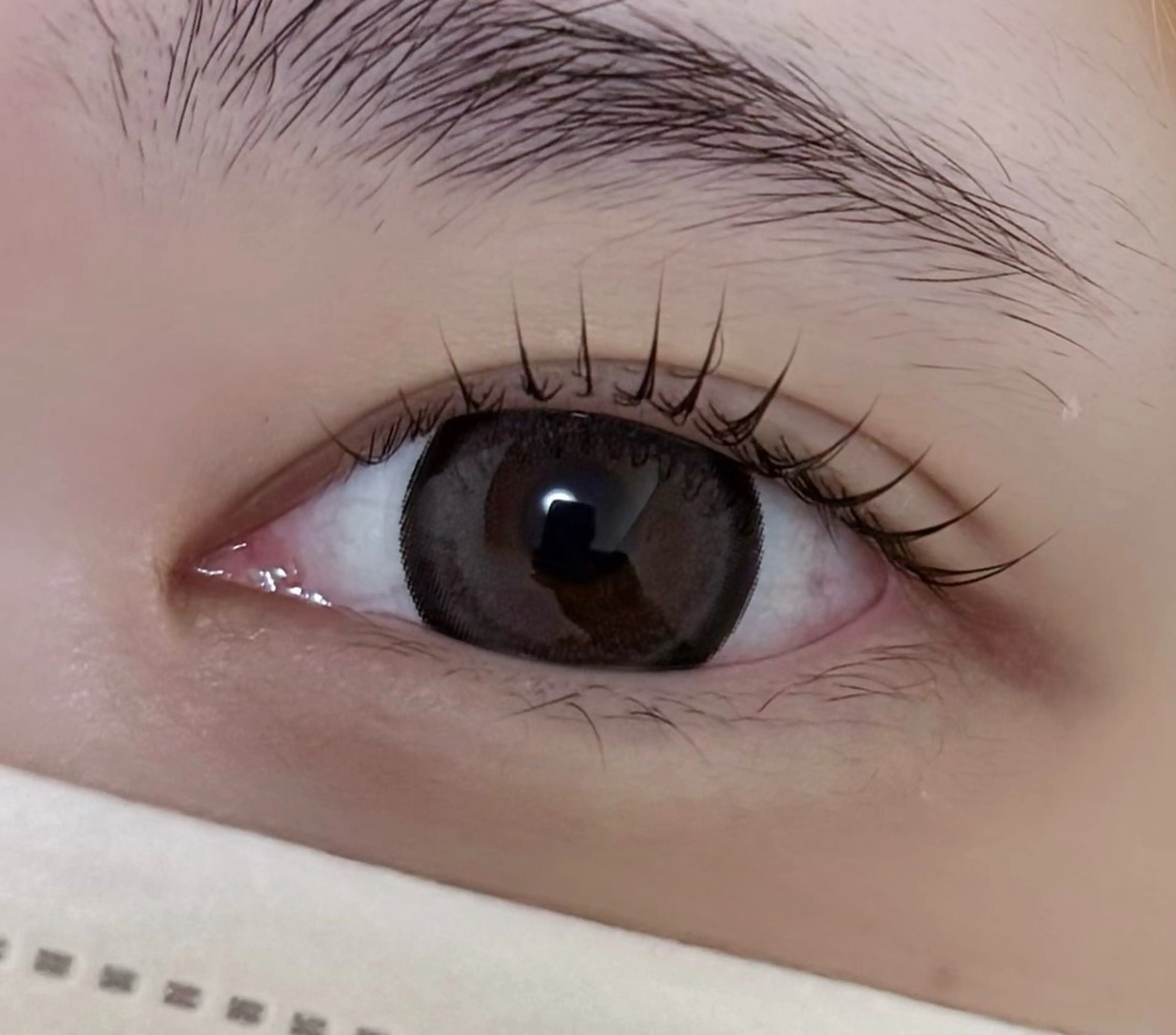 まつげパーマの写真