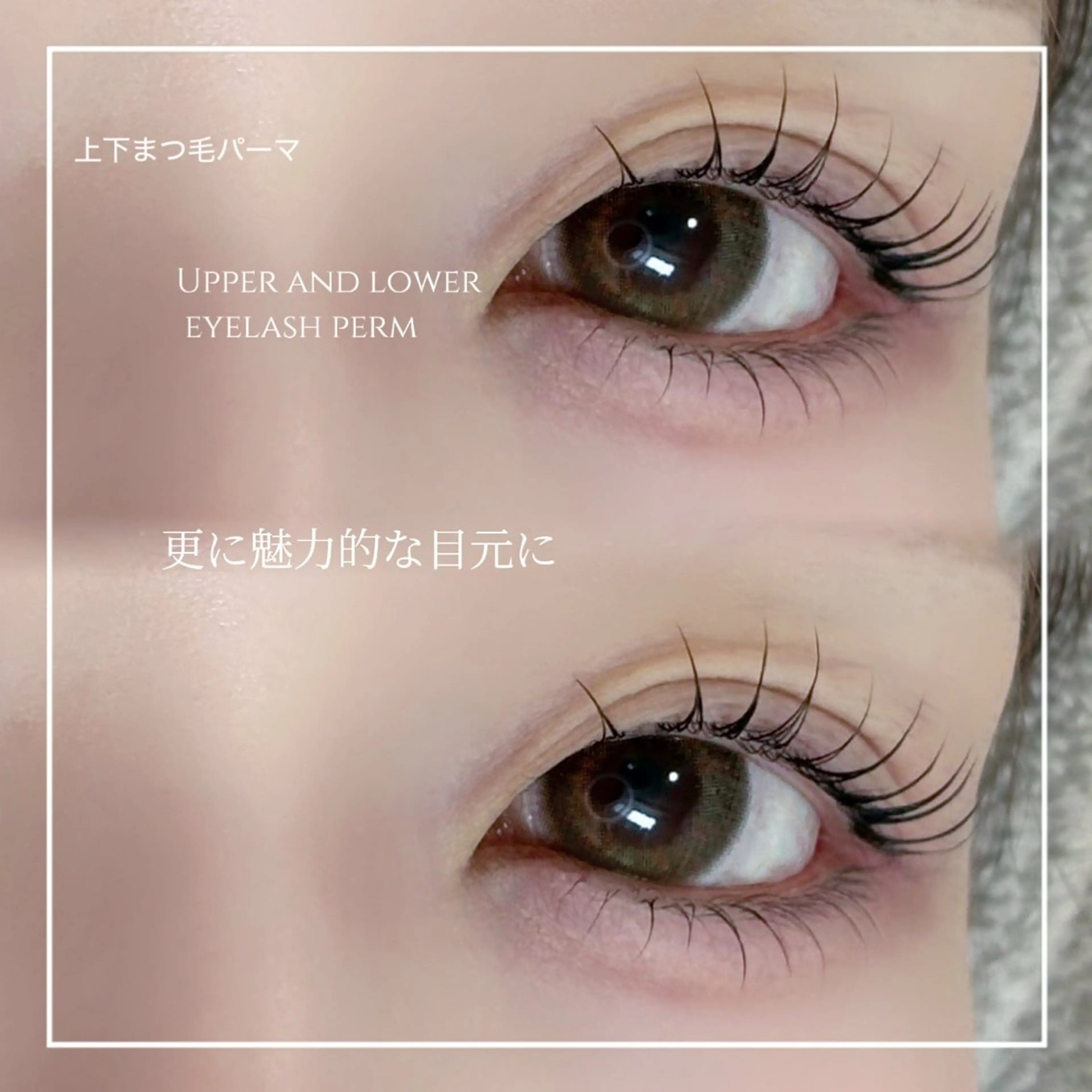 【🎀初回限定クーポン💕】上下まつ毛パーマ＋高級コーティング付き🩵の写真