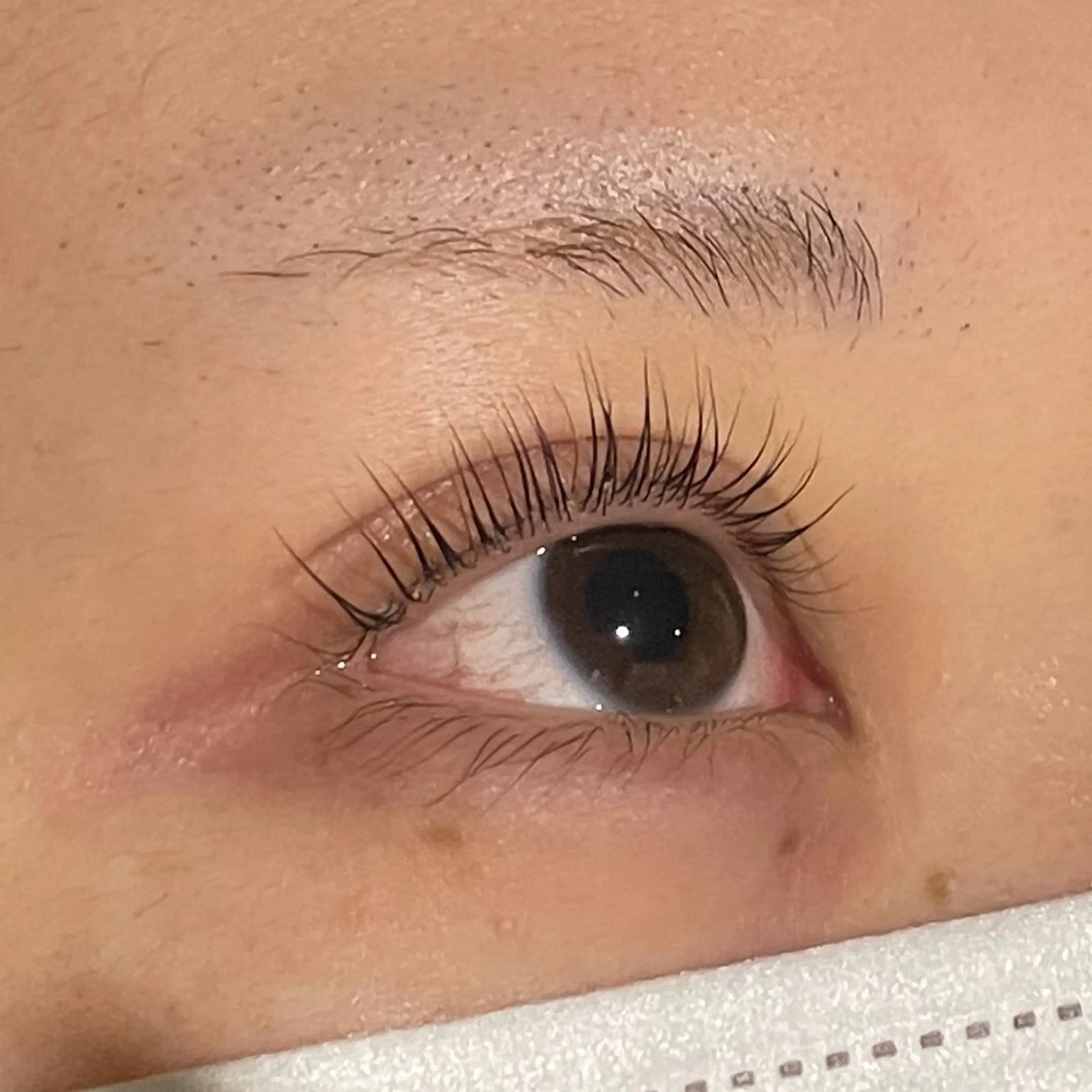 マツエク・マツパ マツパ ななみ《ちゅるん カラー/まつパ》のヘアスタイル