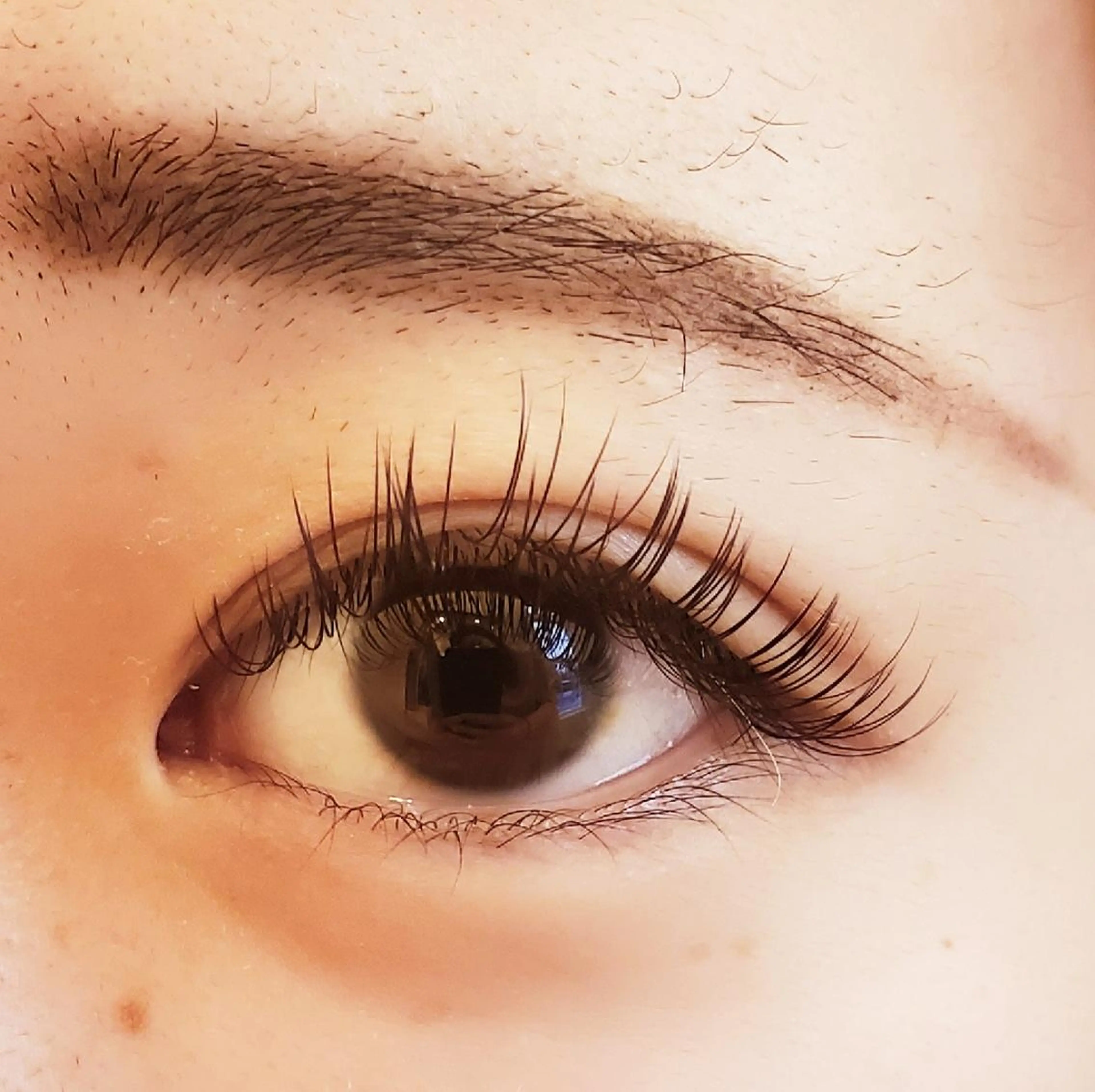 マツエク・マツパ 付け放題 CCカール Cカール フラットラッシュ ゴージャス Hair＆beauty BRY所属・BRY✂ ブライ‪のマツエク・マツパデザイン