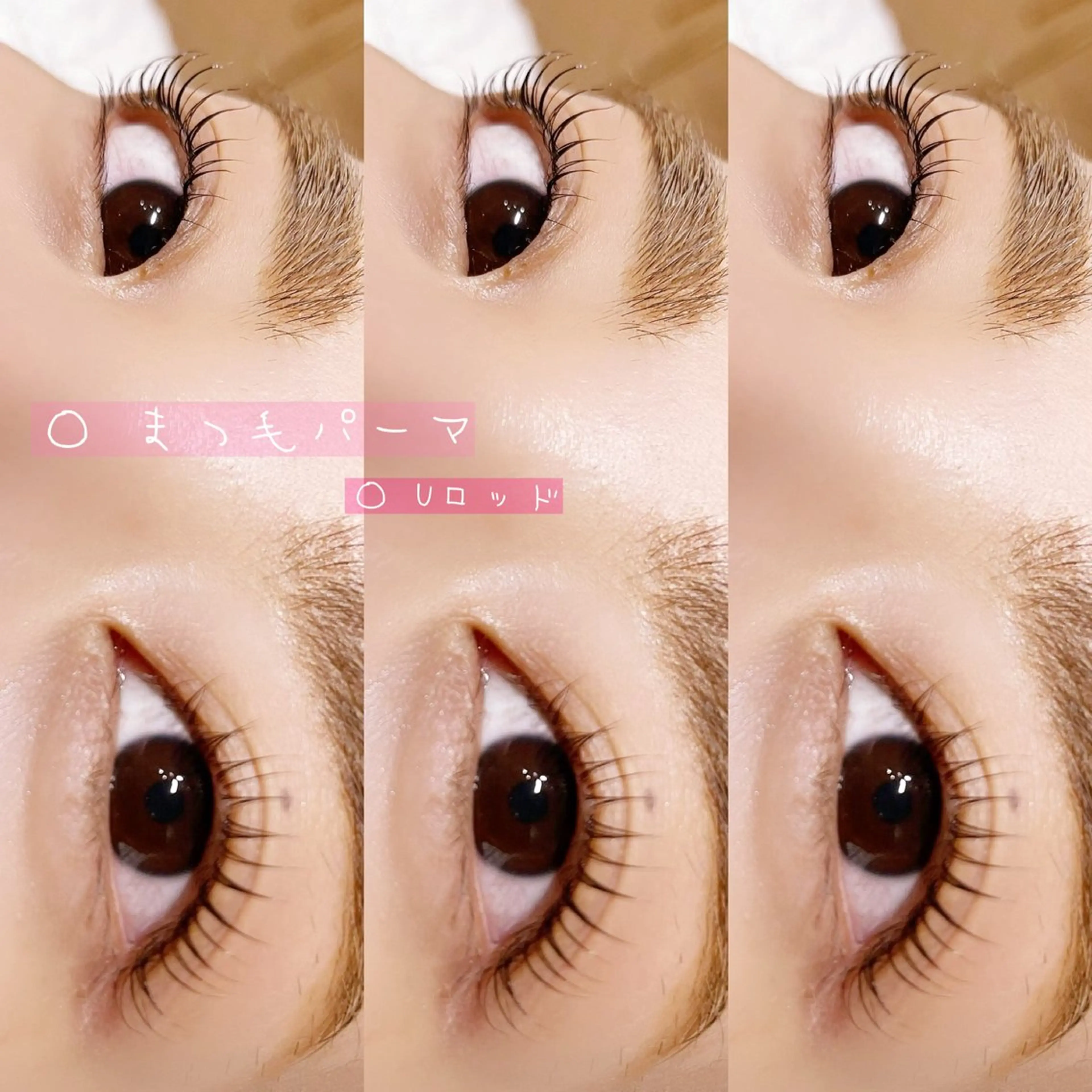 ✨🎀 学割×まつ毛パーマ  🎀✨の写真