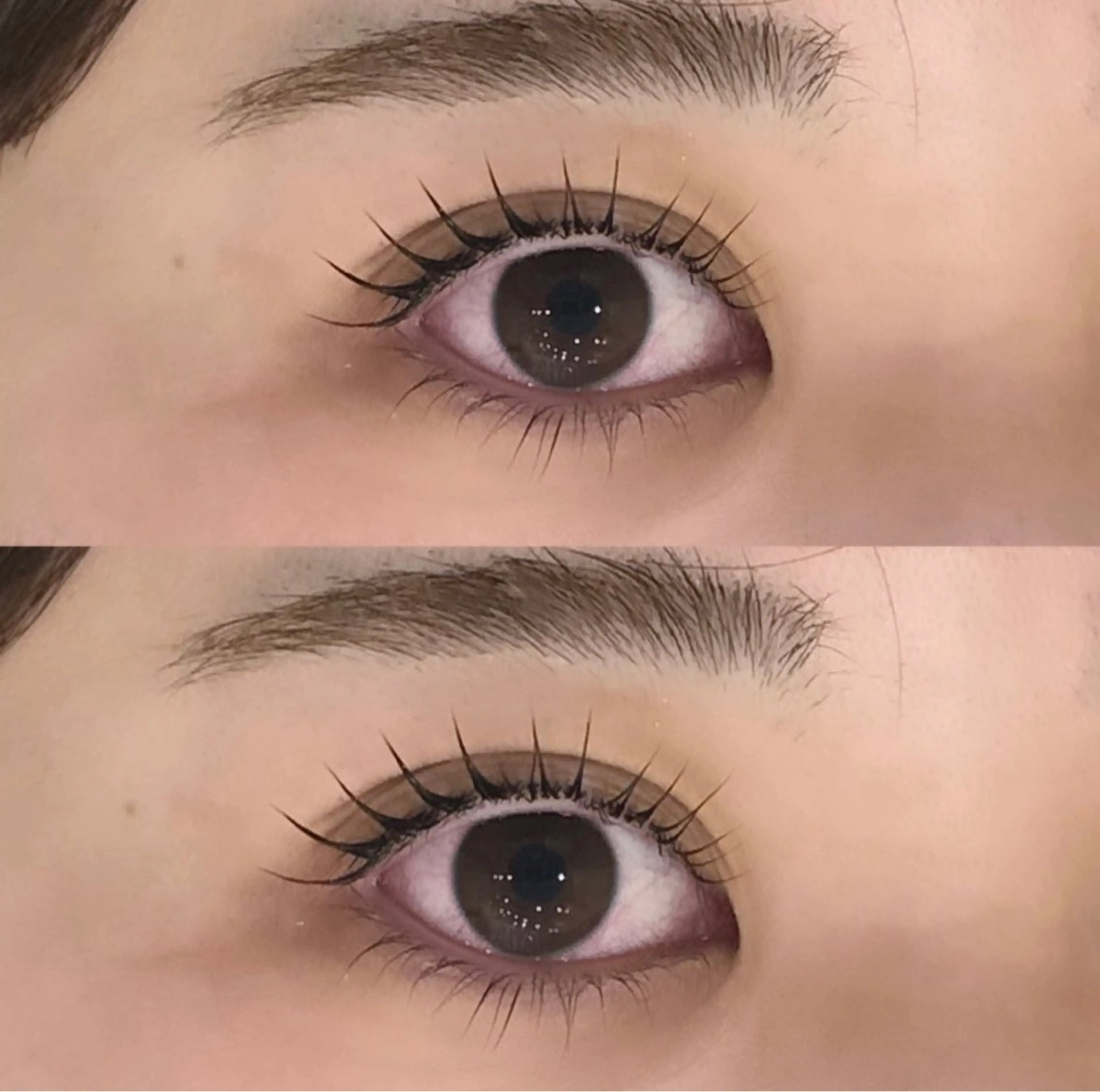 【種類に迷ったらこれ!】🎀選べるまつげパーマ+韓国風束感仕上げ付き🎀 ¥3780の写真