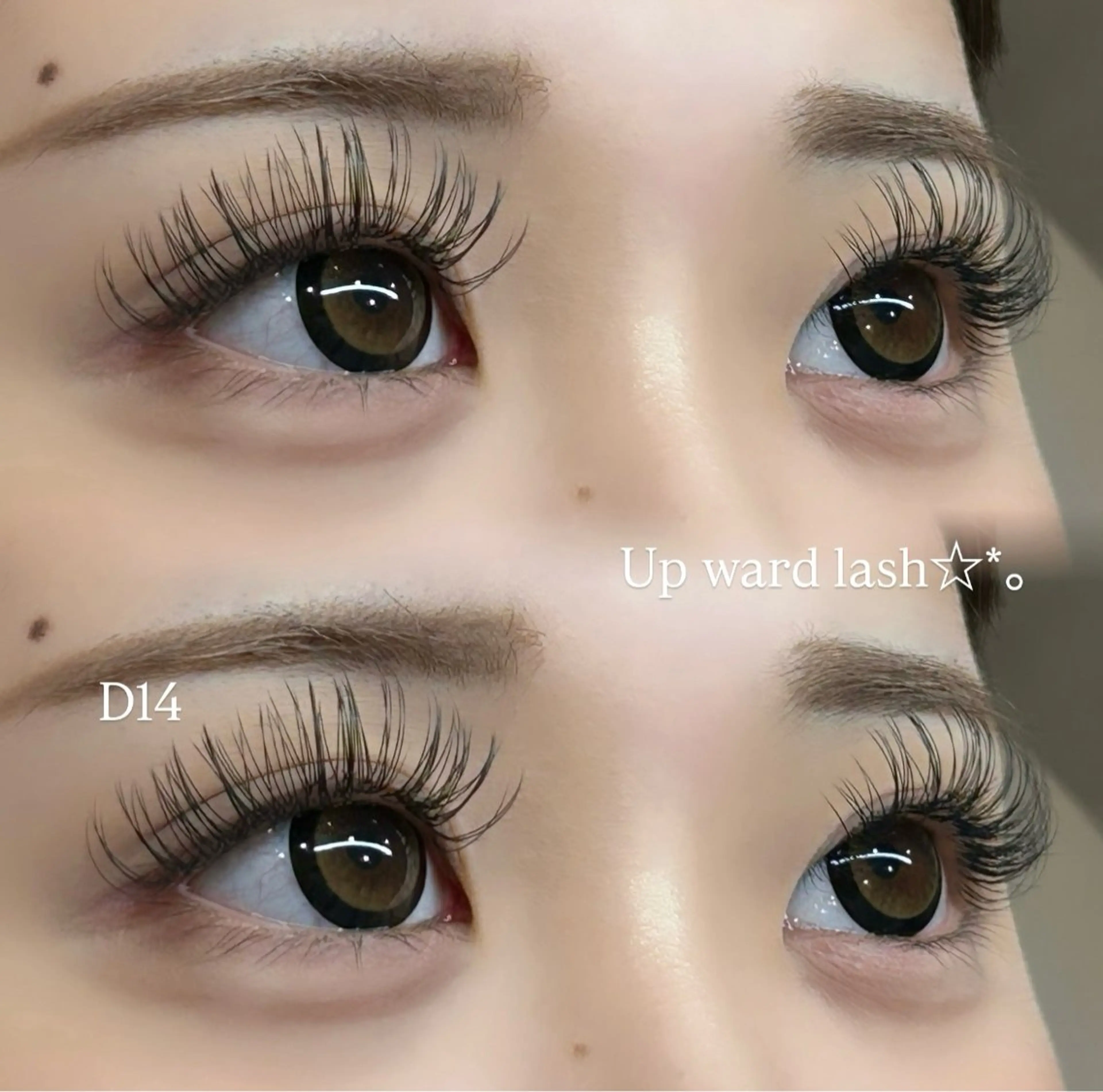 マツエク・マツパ Dカール アップワードラッシュ マツエク REVE🖤✧︎*。 yoshioka🎀のマツエク・マツパデザイン