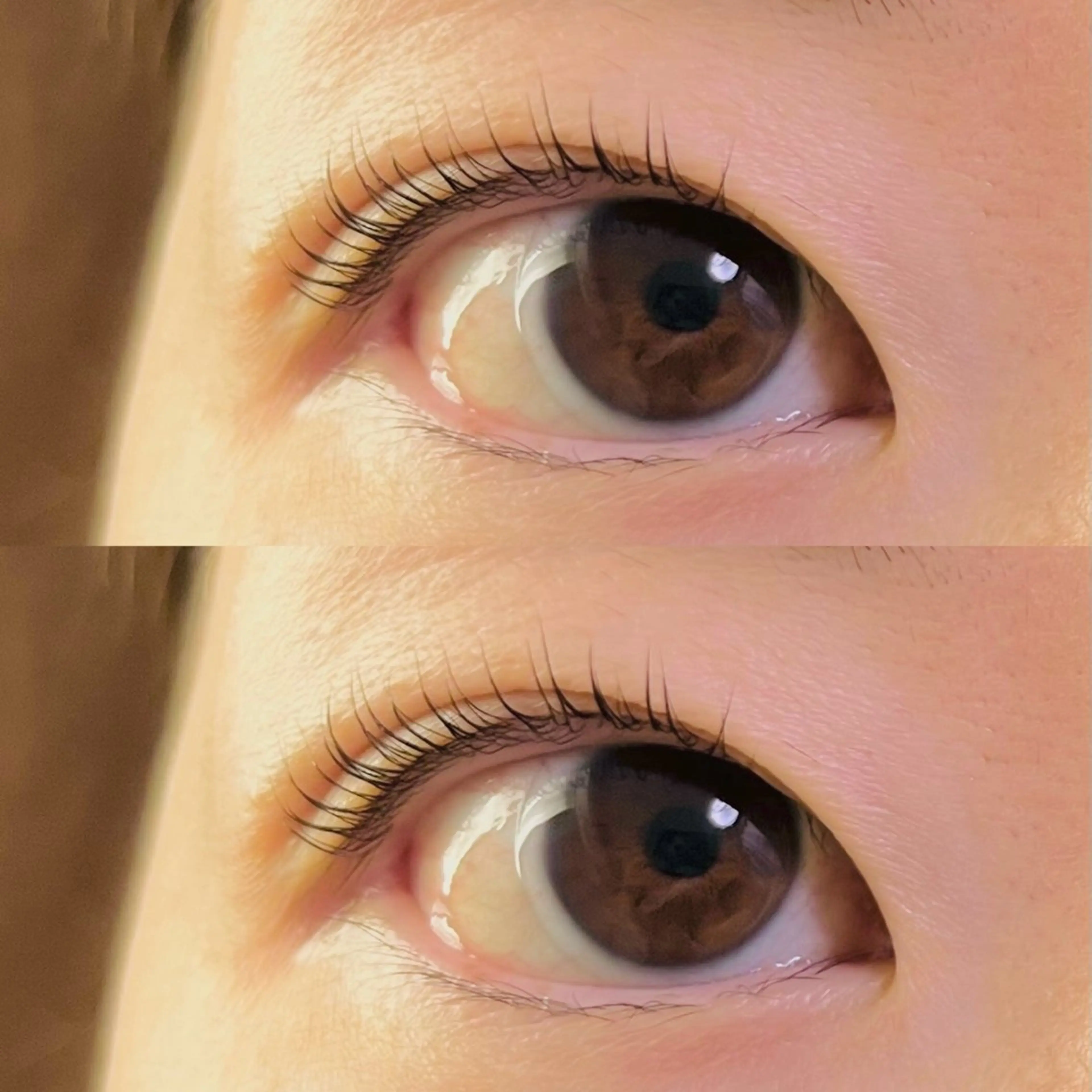 マツエク・マツパ まつげパーマ HERA 【ヘラ】のマツエク・マツパデザイン