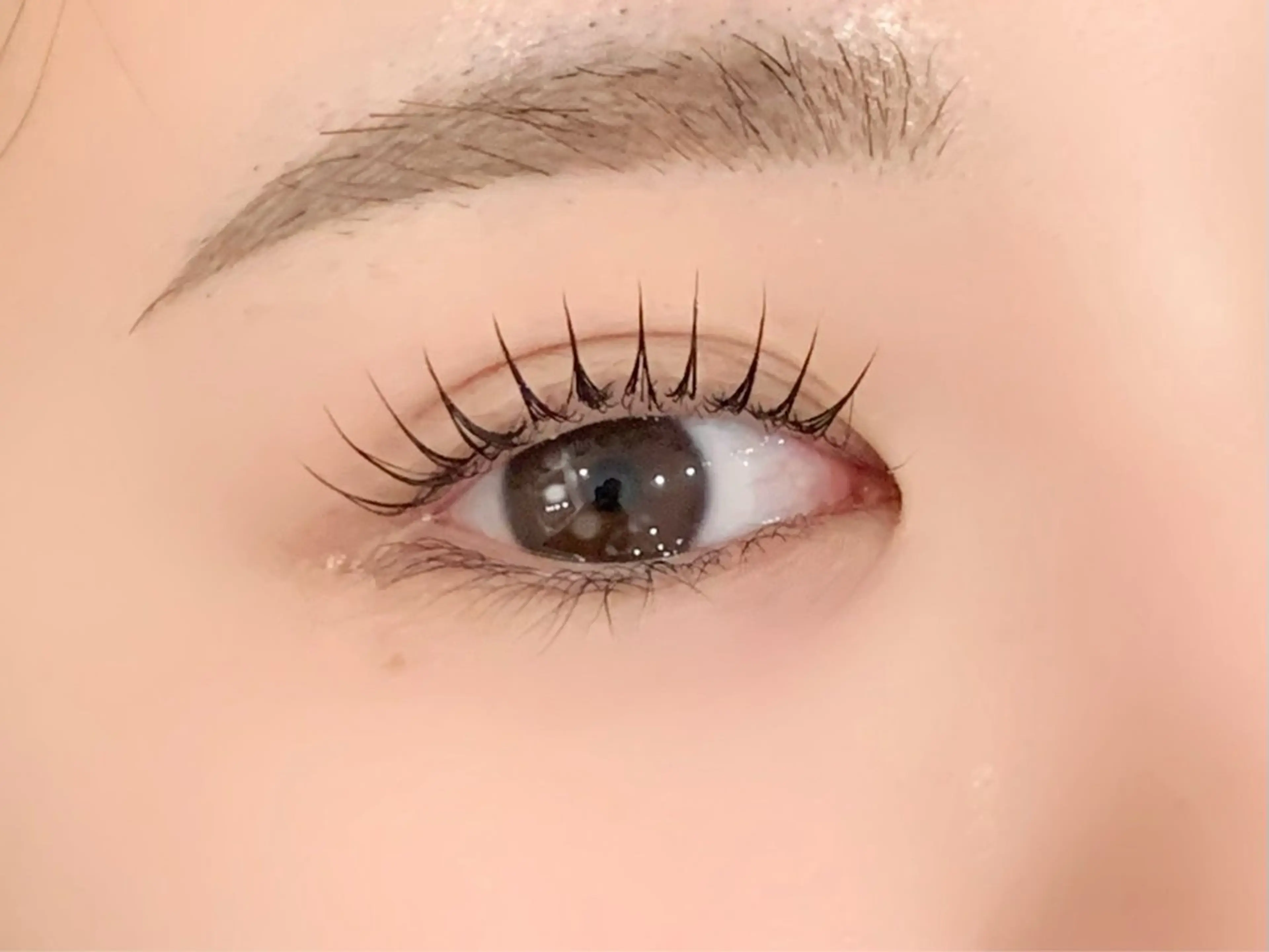 マツエク・マツパ マリーテレジア 無料モデルの眉毛・アイブロウイメージ