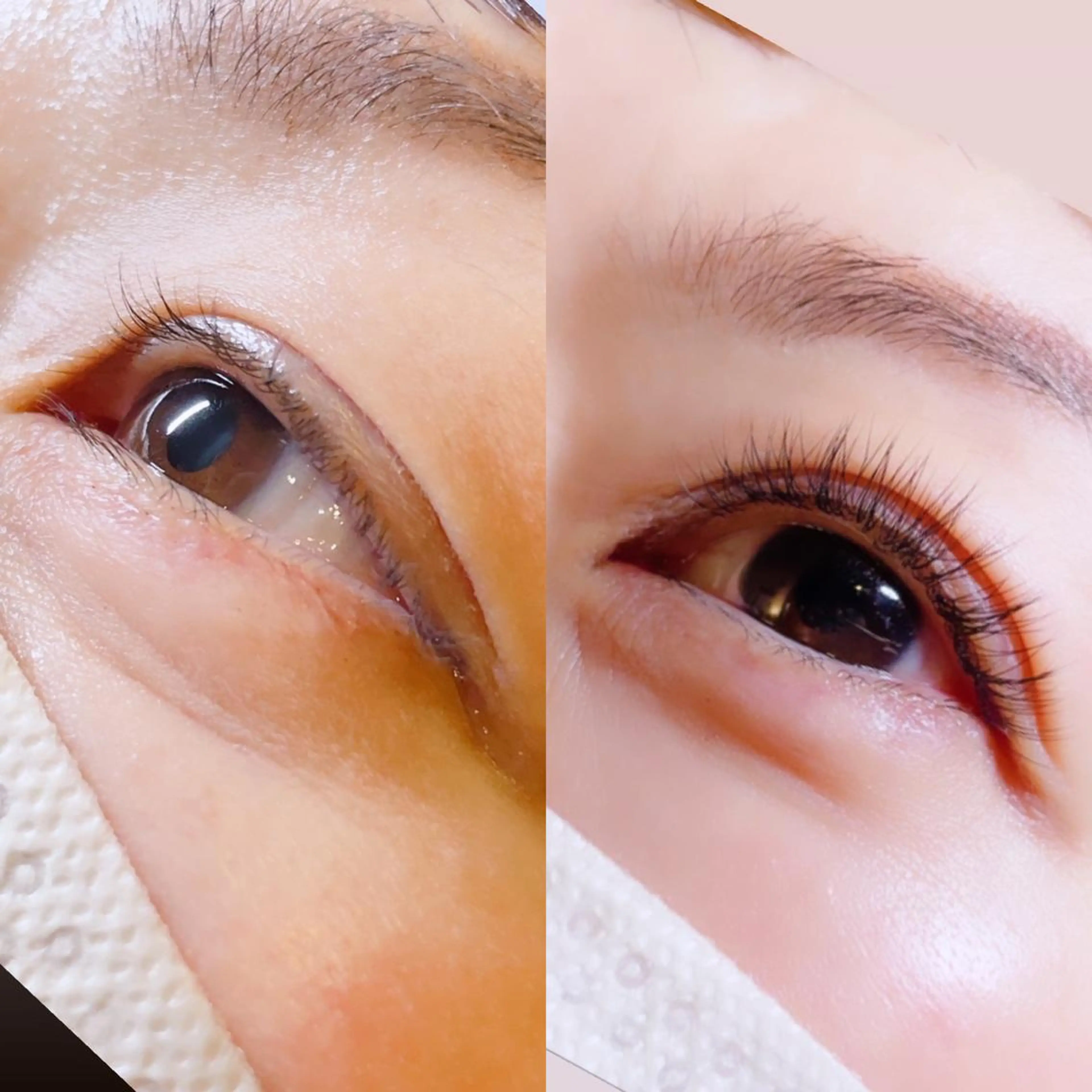 マツエク・マツパ ナチュラル ロニセラ アイラッシュのマツエク・マツパデザイン