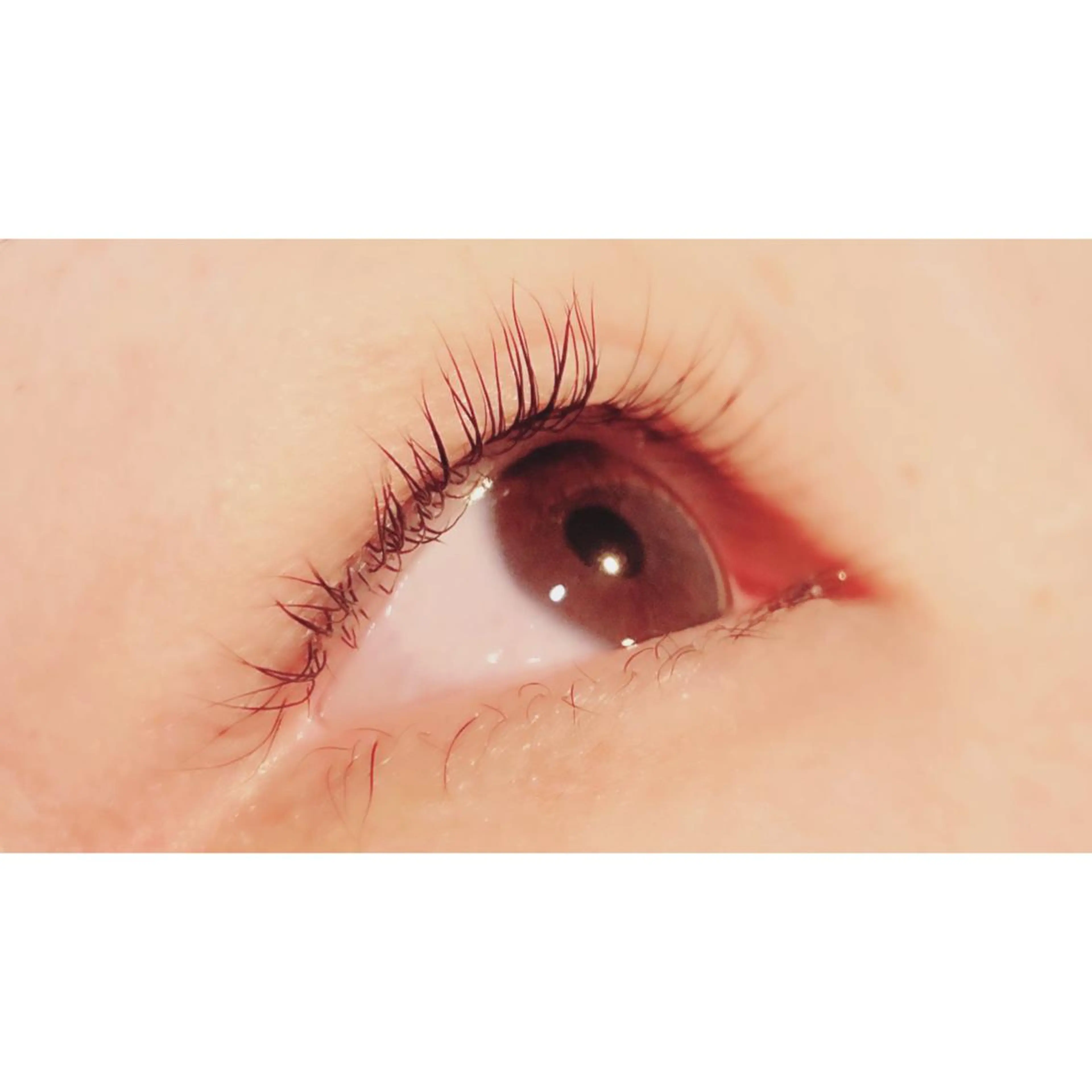 マツエク・マツパ パリジェンヌラッシュリフト Bianca 長津田店　長牛のマツエク・マツパデザイン