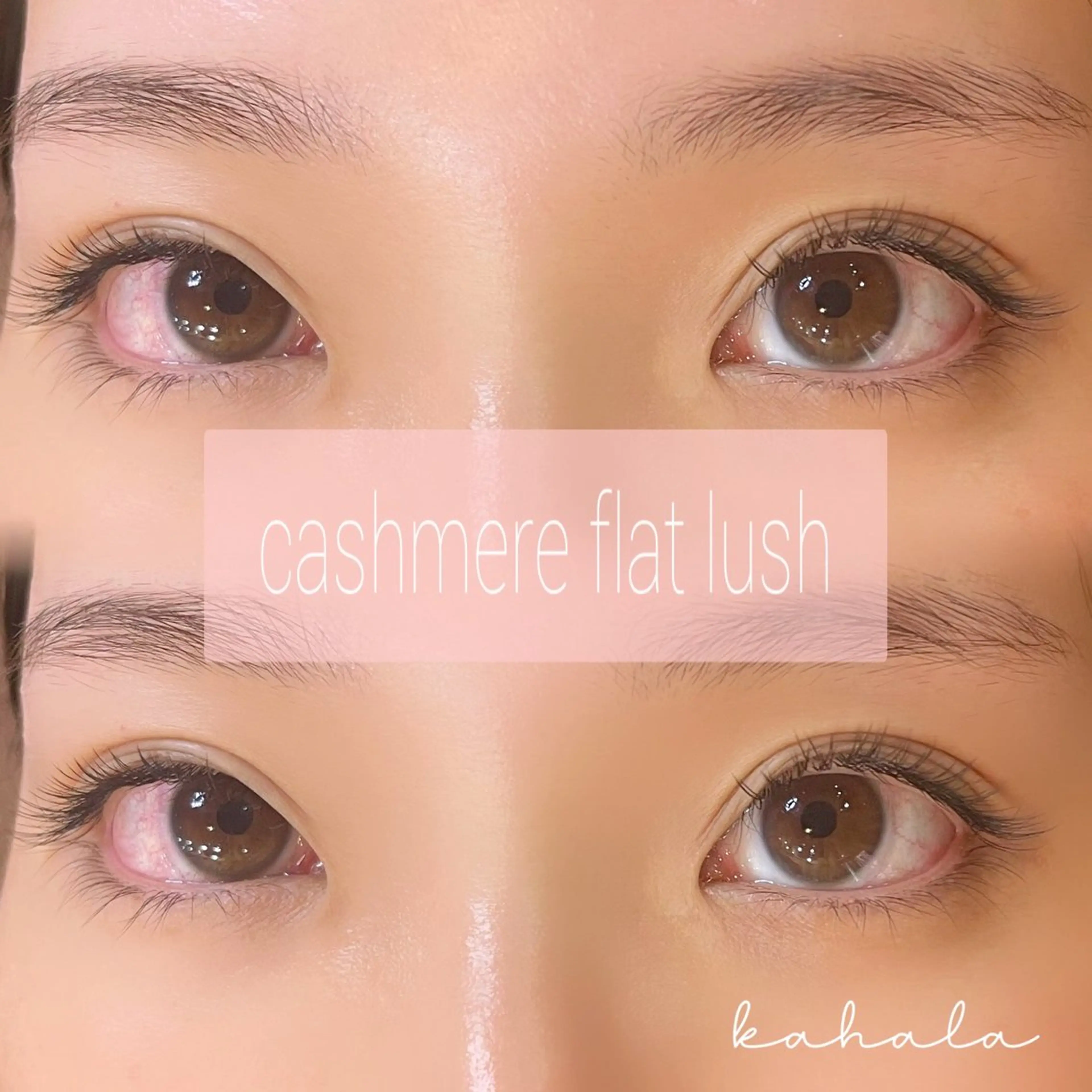 マツエク・マツパ Fujimoto 🦭⸝⋆꙳のマツエク・マツパデザイン