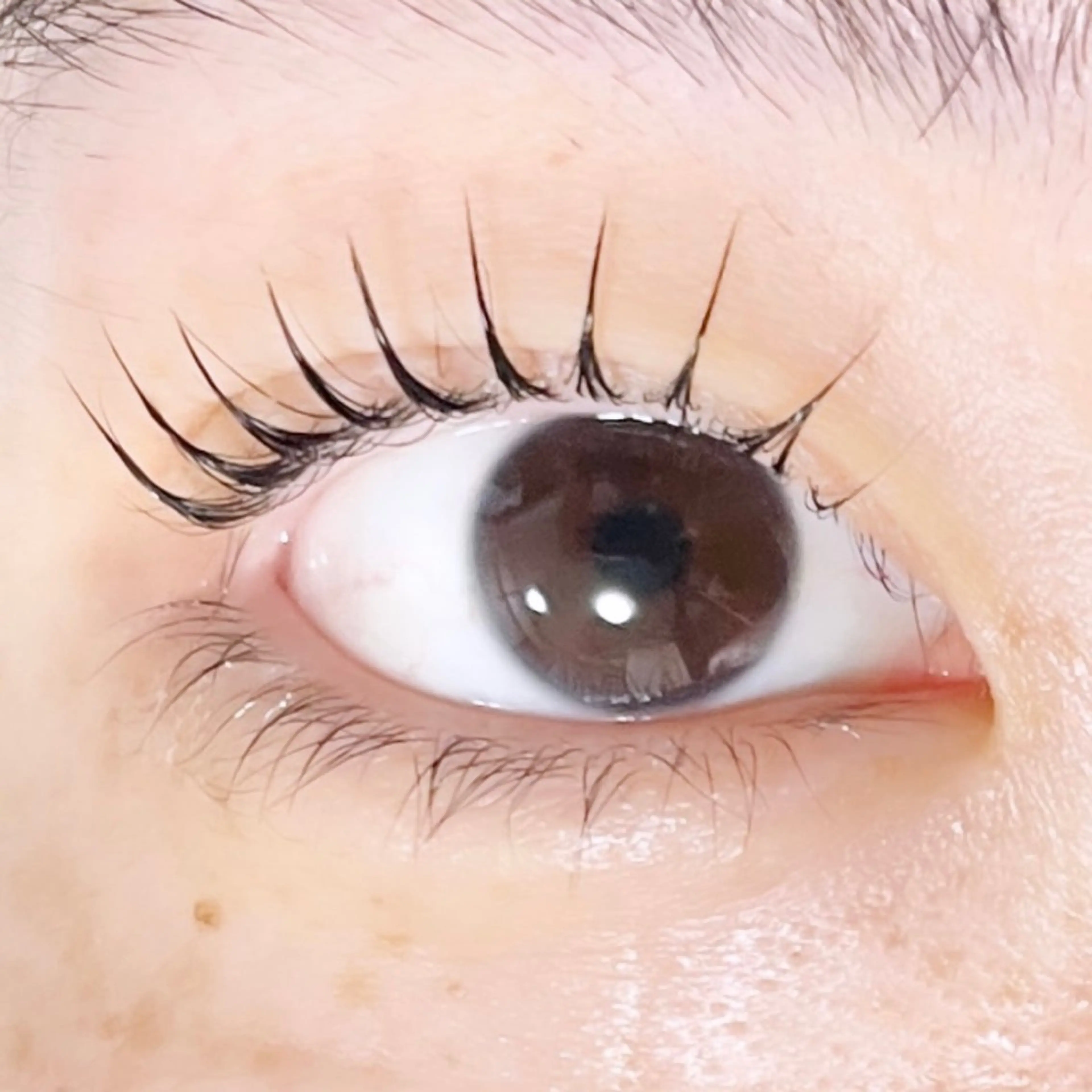 マツエク・マツパ TAKEO🖤 マリーテレジア藤が丘のマツエク・マツパデザイン