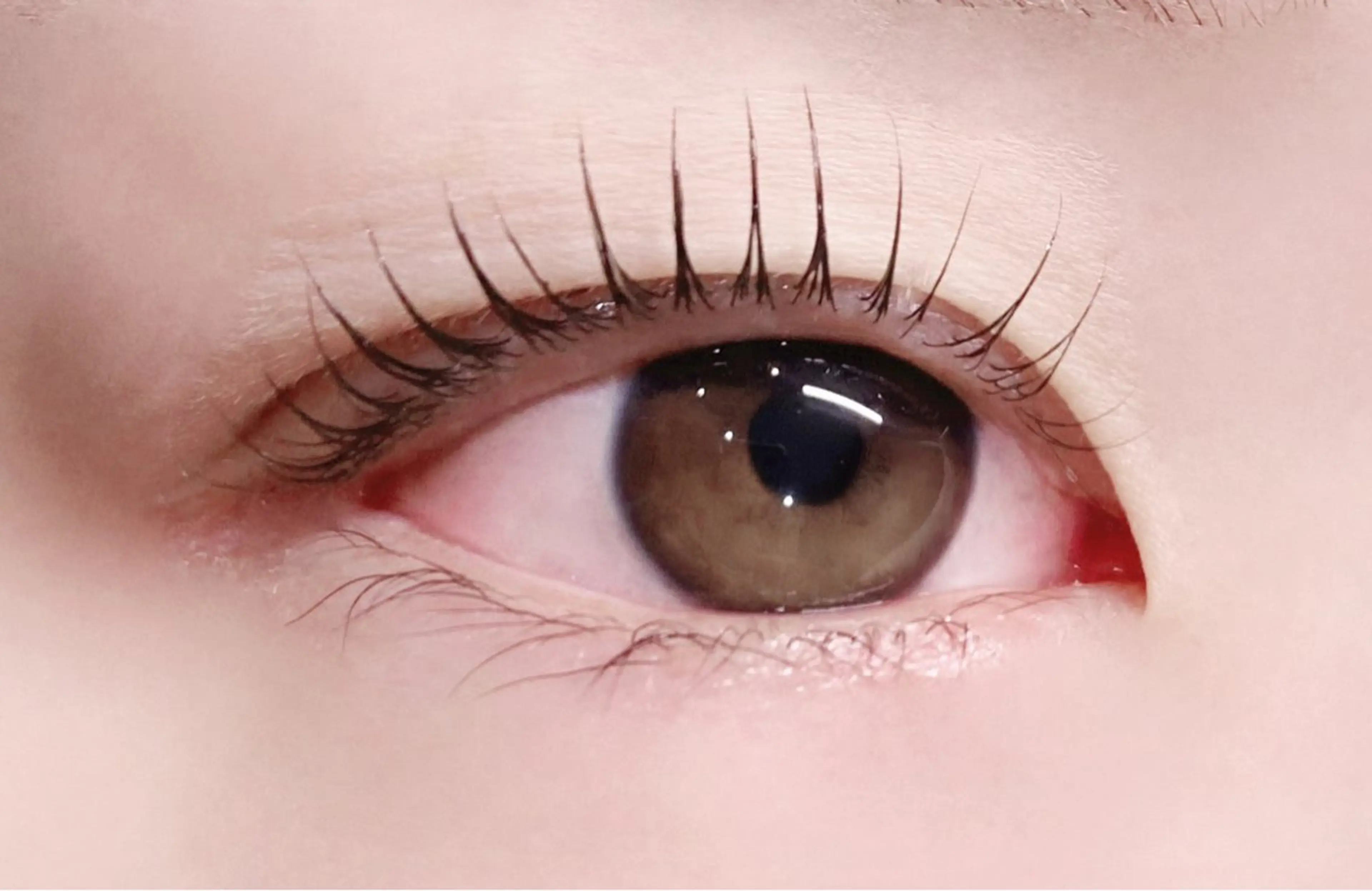 マツエク・マツパ Rairia nail&eyelash所属・Rairia CHIKAのマツエク・マツパデザイン